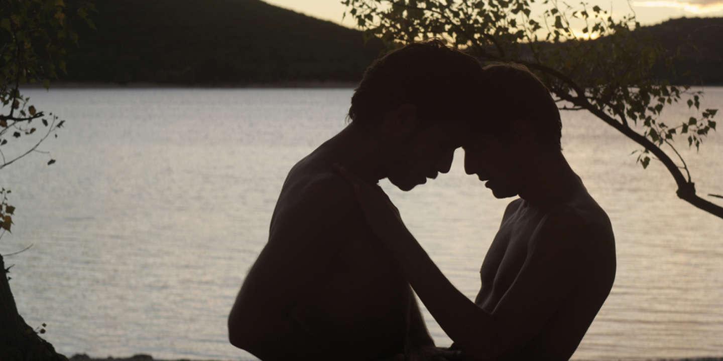 L'Inconnu du lac (Alain Guiraudie, 2013)