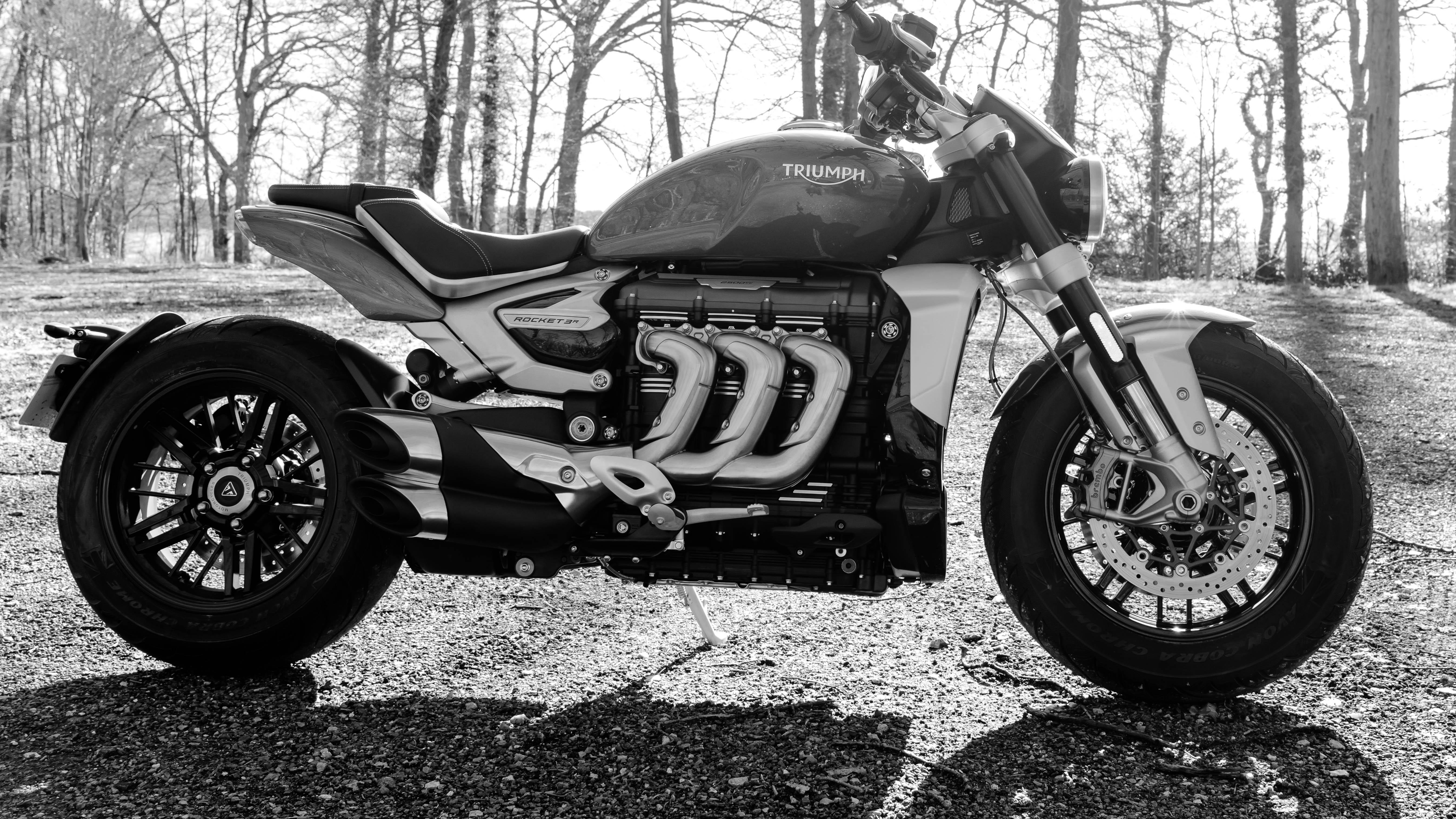 Born to Ride