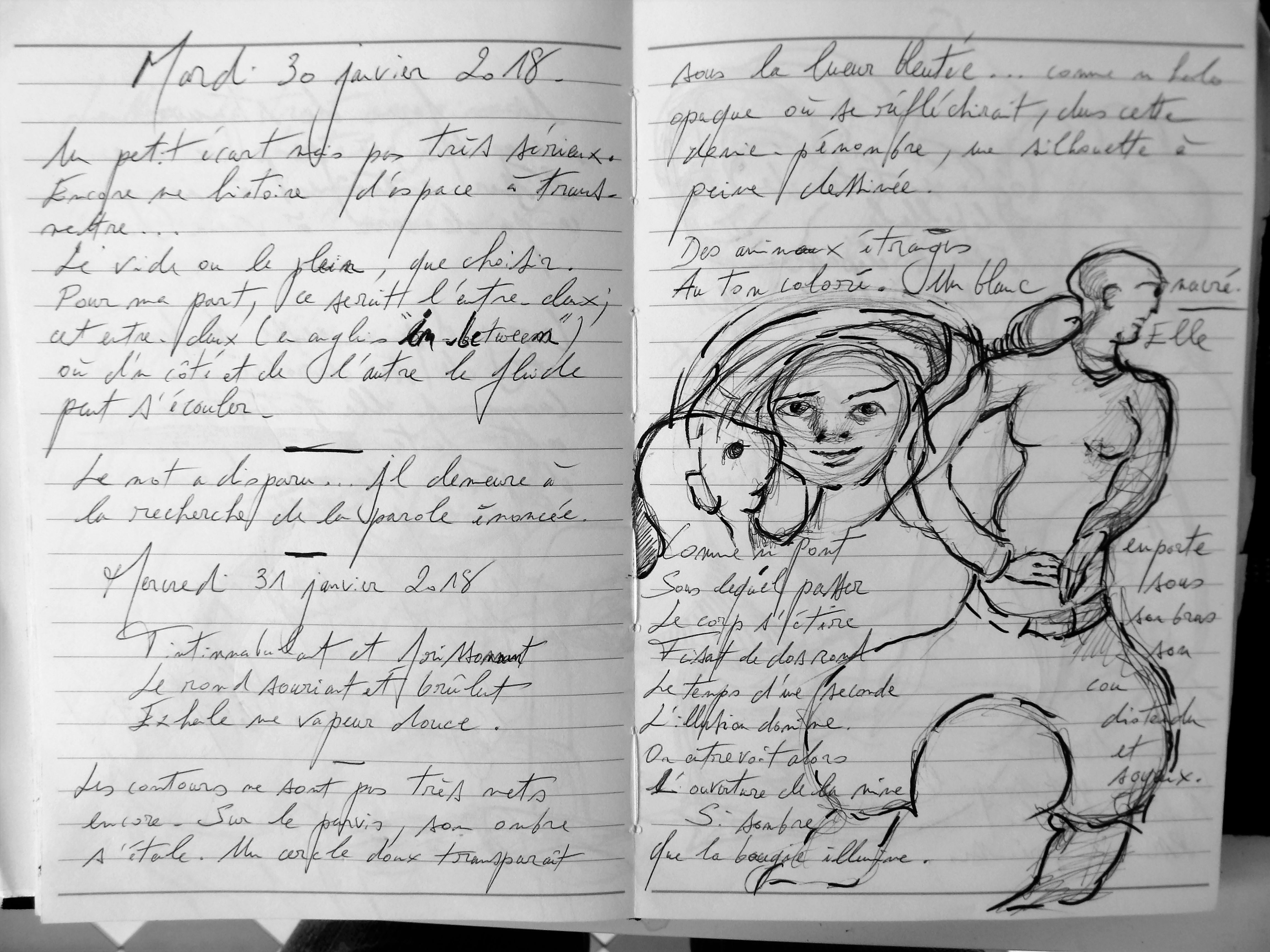 Petits Papiers Volants : Journal D'écriture 2003-2018 -Mardi 30 et Mercredi 31 janvier 2018