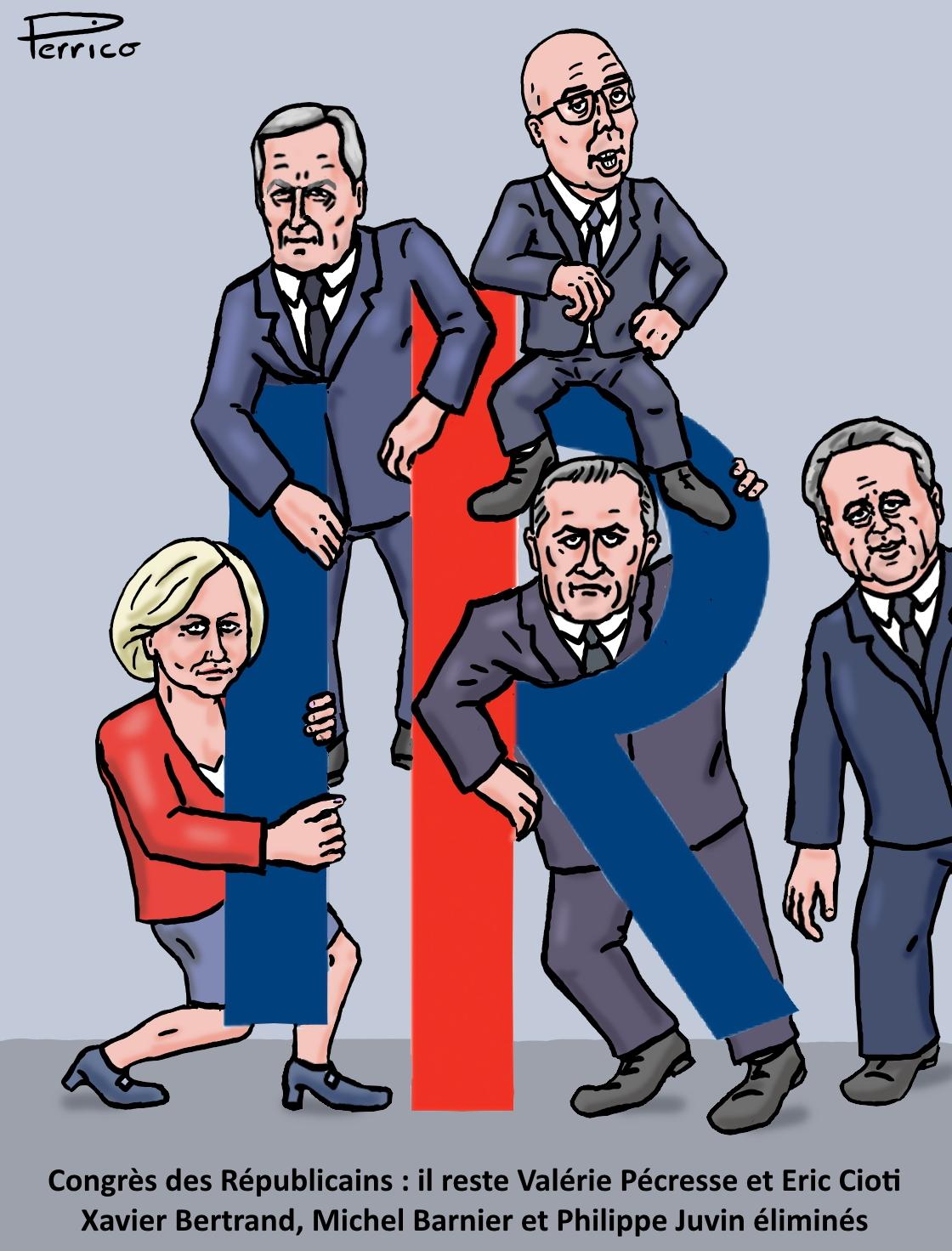 Les Républicains : qui sera l'heureux élu ?