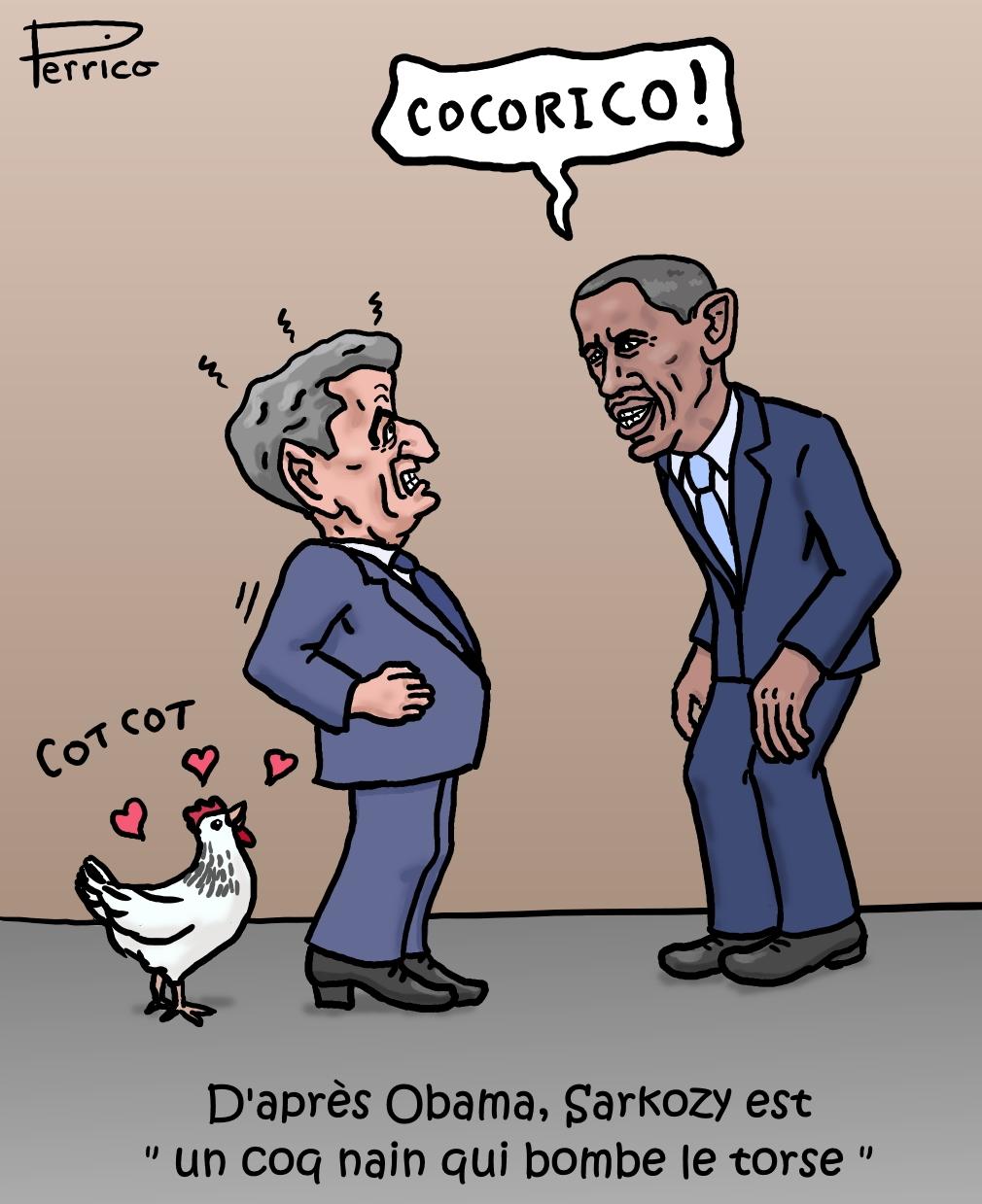 Sarko le coq nain !