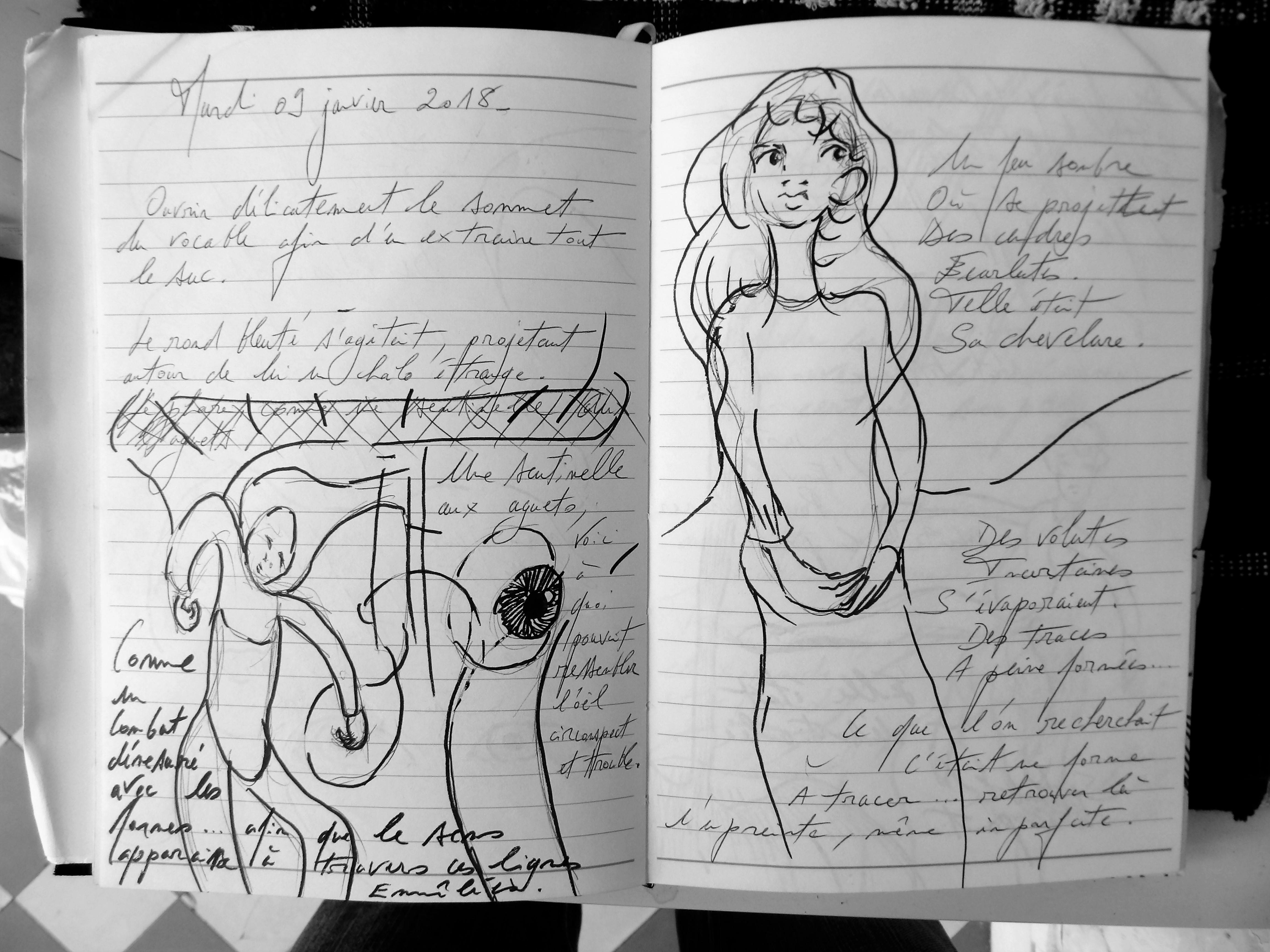 Petits Papiers Volants : Journal D'écriture 2003-2018 - Mardi 9 janvier 2018