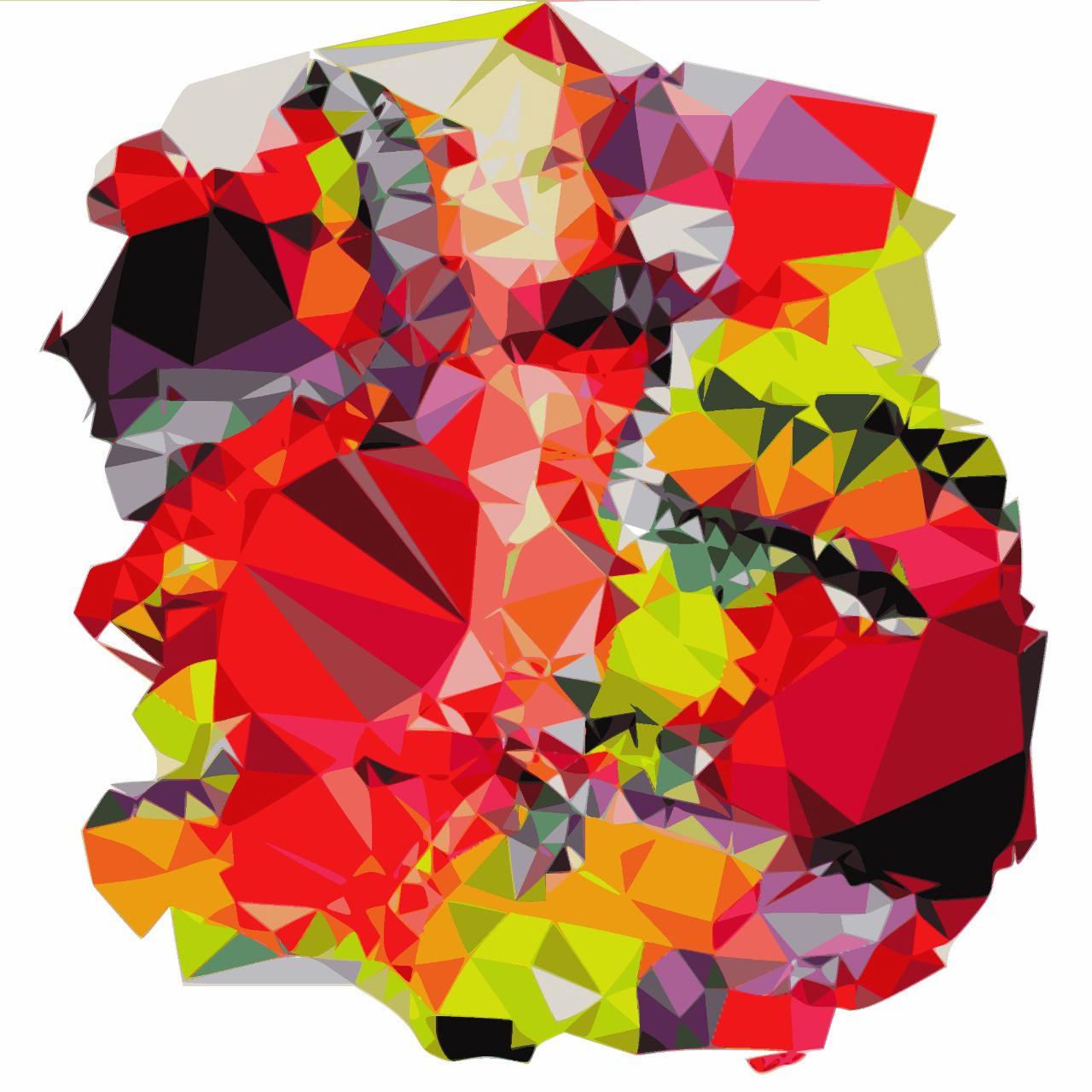 The Dynamic Abstraction of Nicolas Longo