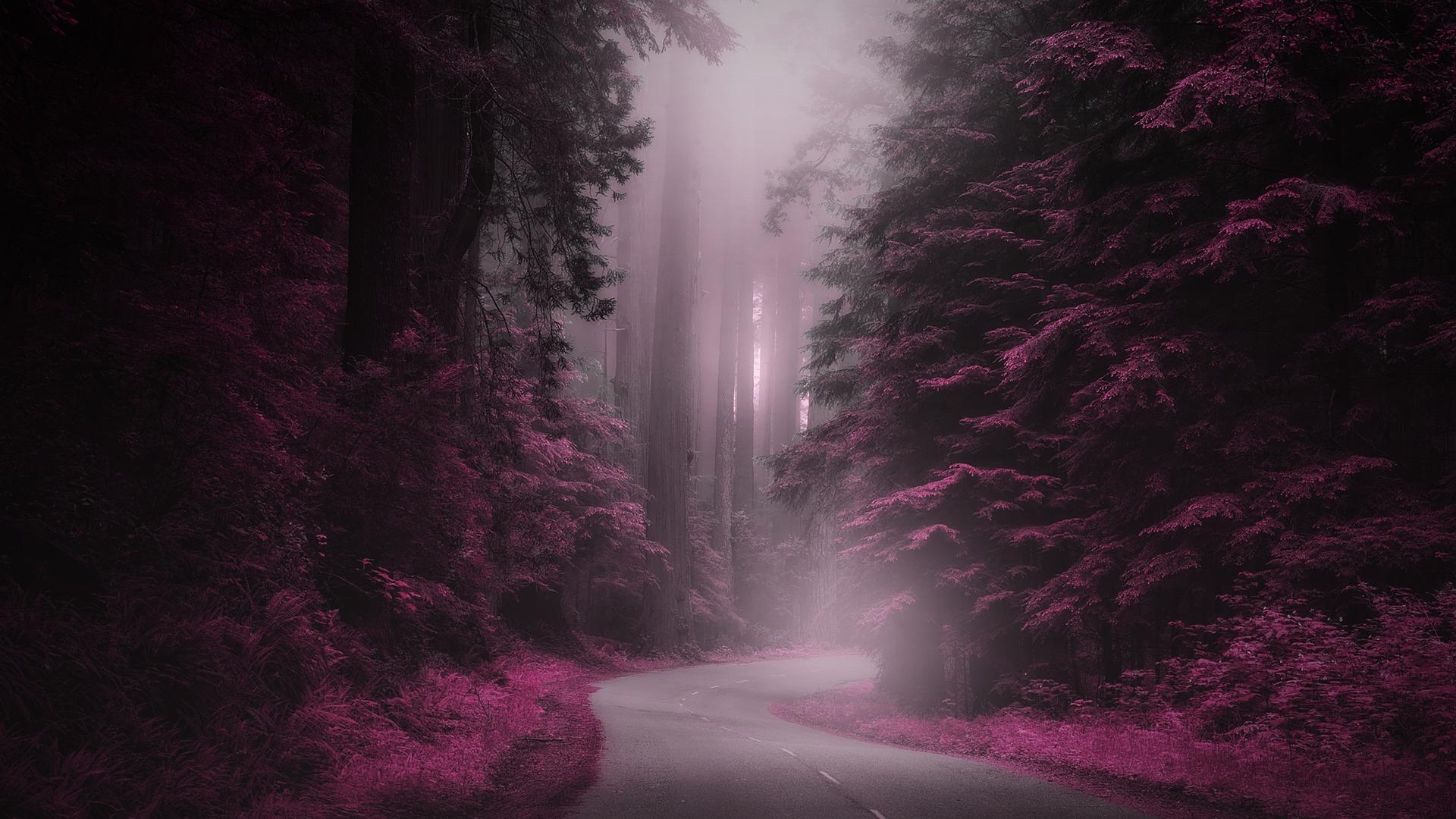 La forêt aux mille saveurs