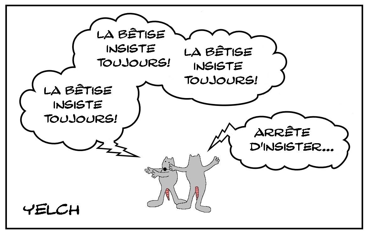 La bêtise insiste