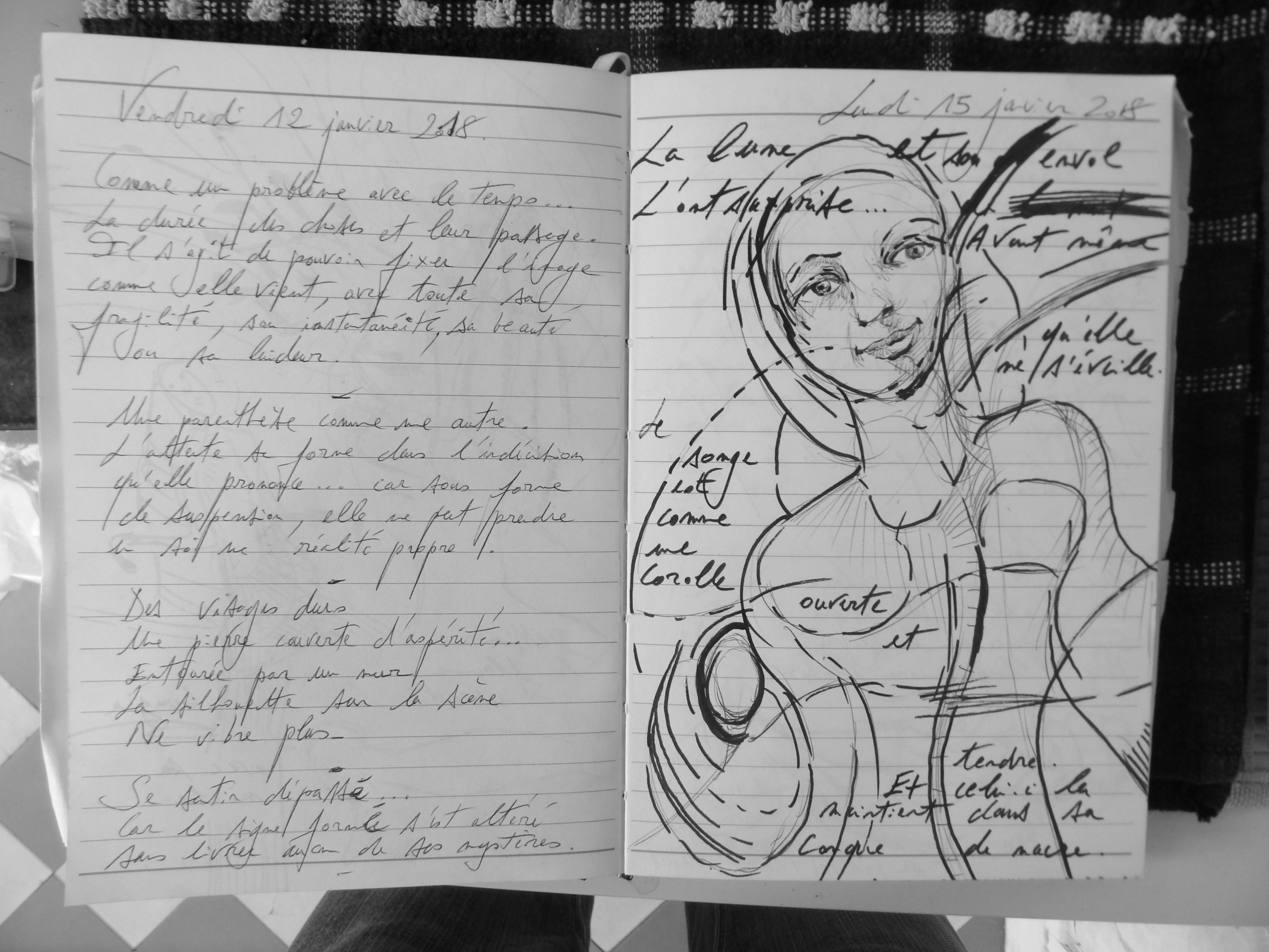 Petits Papiers Volants : Journal D'écriture 2003-2018 - Vendredi 12 janvier - Lundi 15 janvier 2018