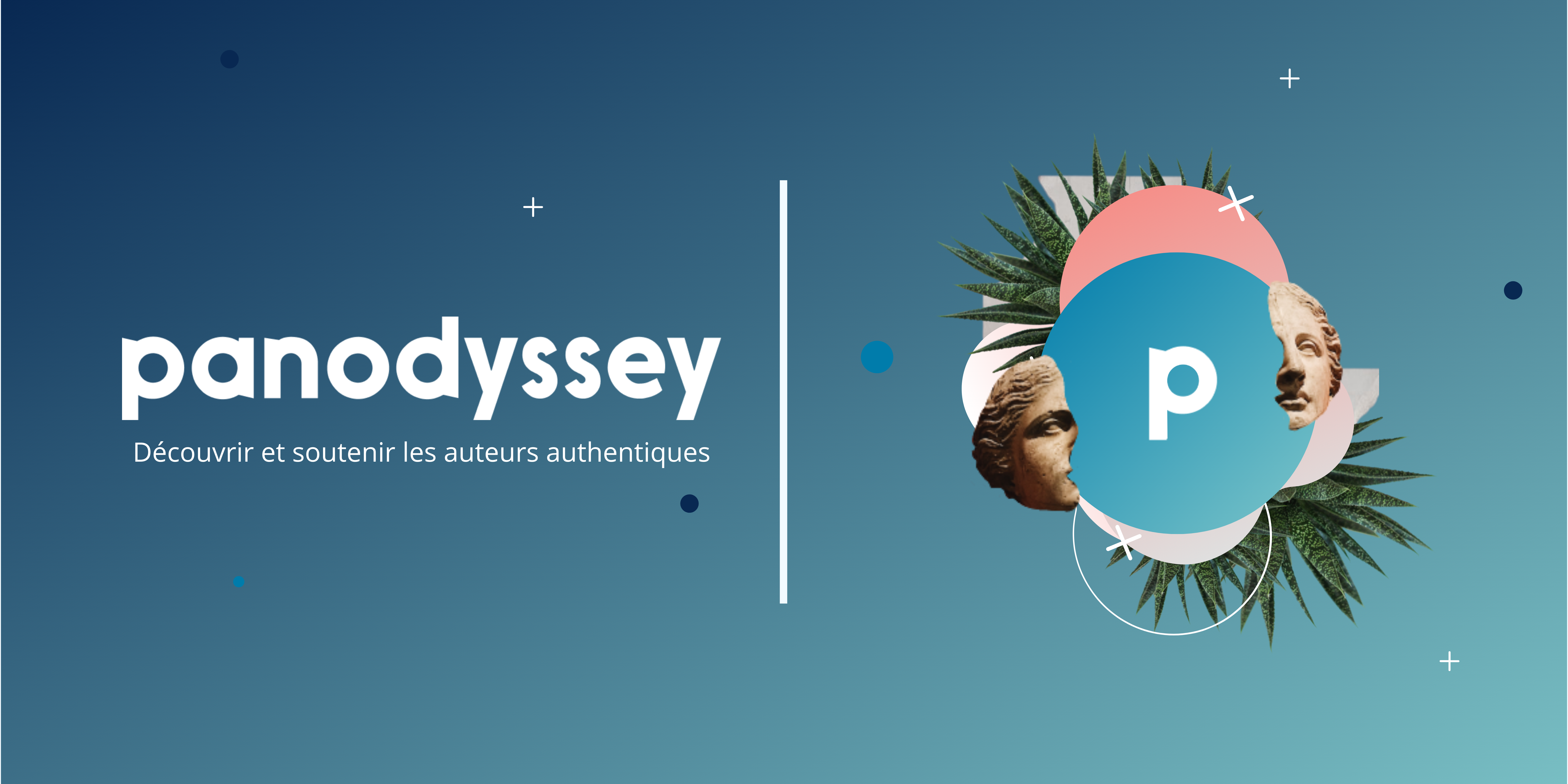 Pourquoi Panodyssey ?