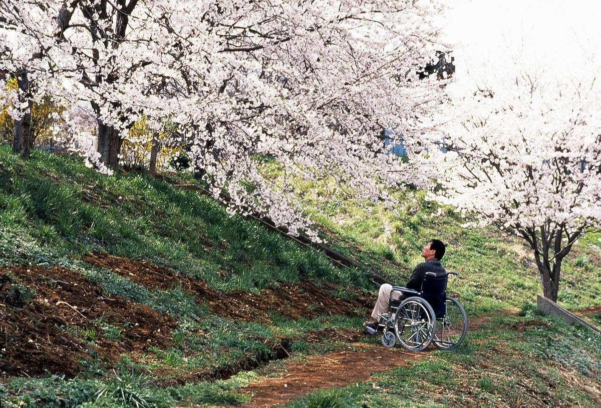Hana-Bi (Takeshi Kitano, 1997)