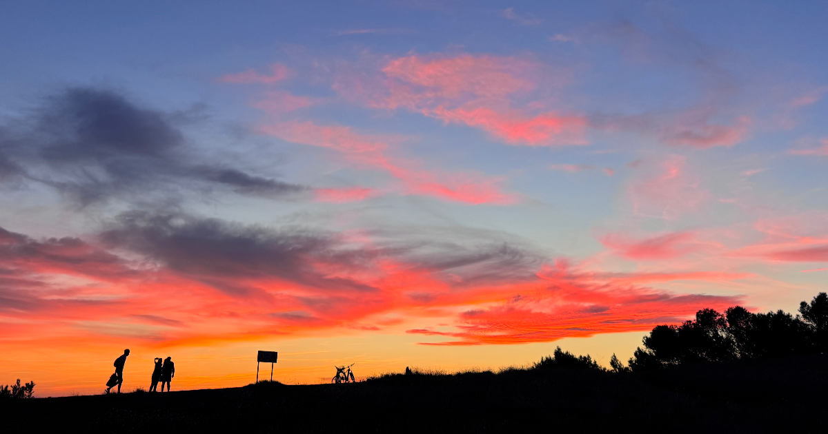 article