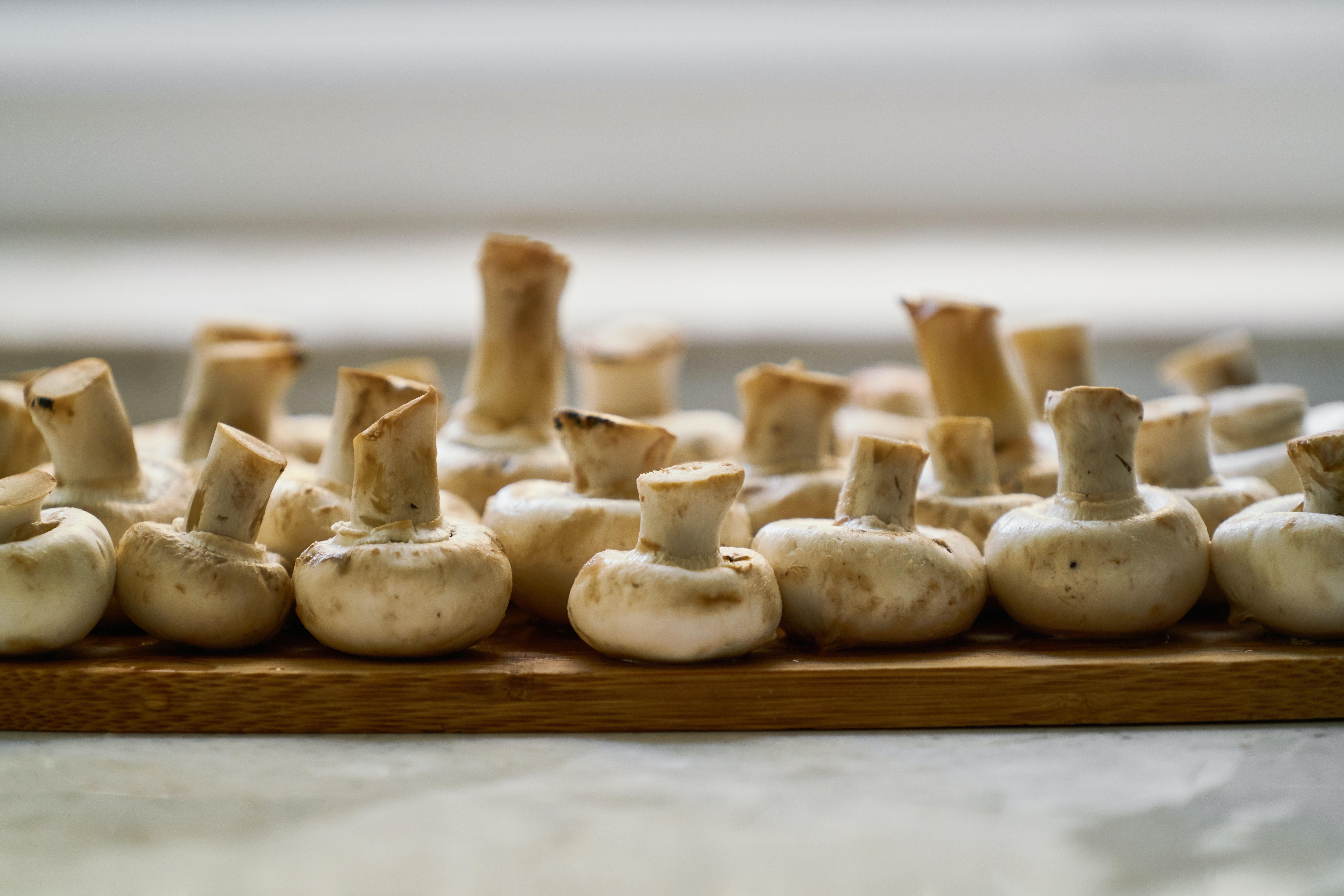 Paupiettes de dinde à la crème, aux champignons et lardons