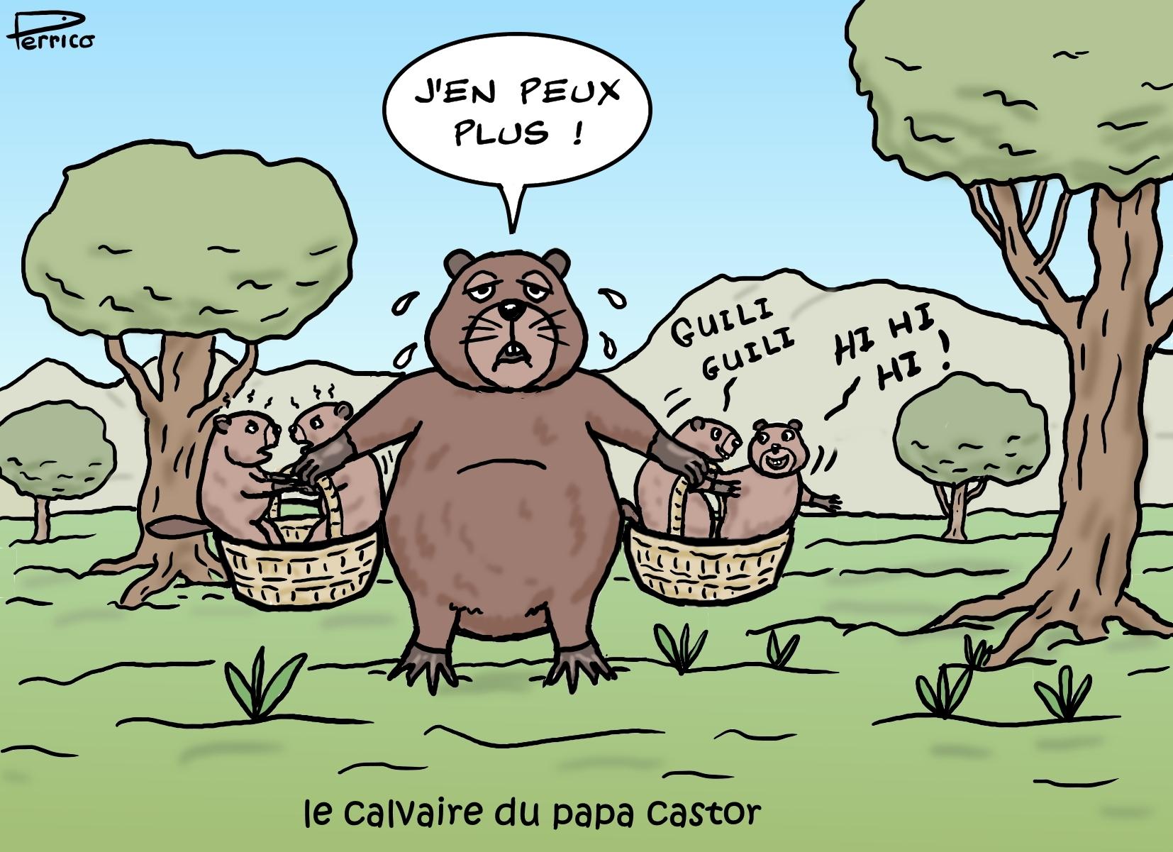 castors en ballade