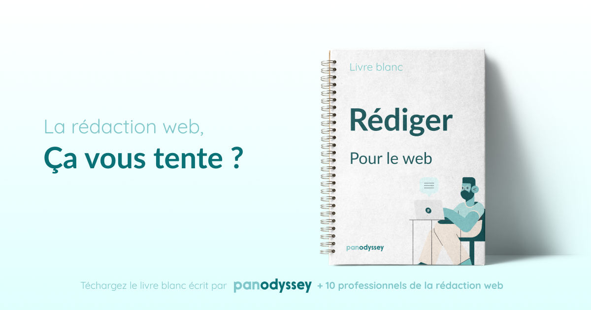 Le Livre Blanc de la rédaction web