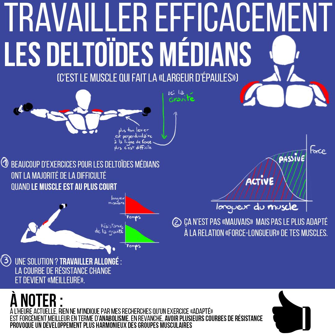 Travaille efficacement les deltoïdes médians