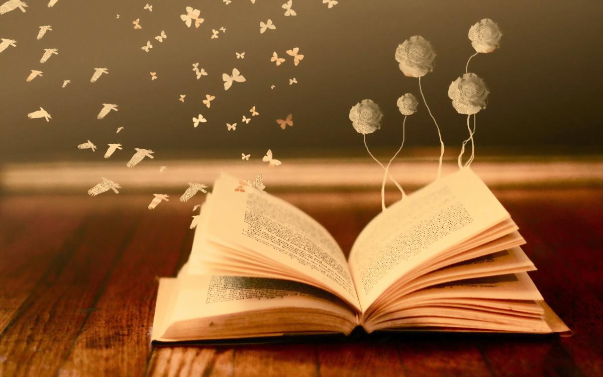 Tu me rends fou by Isabel Keats