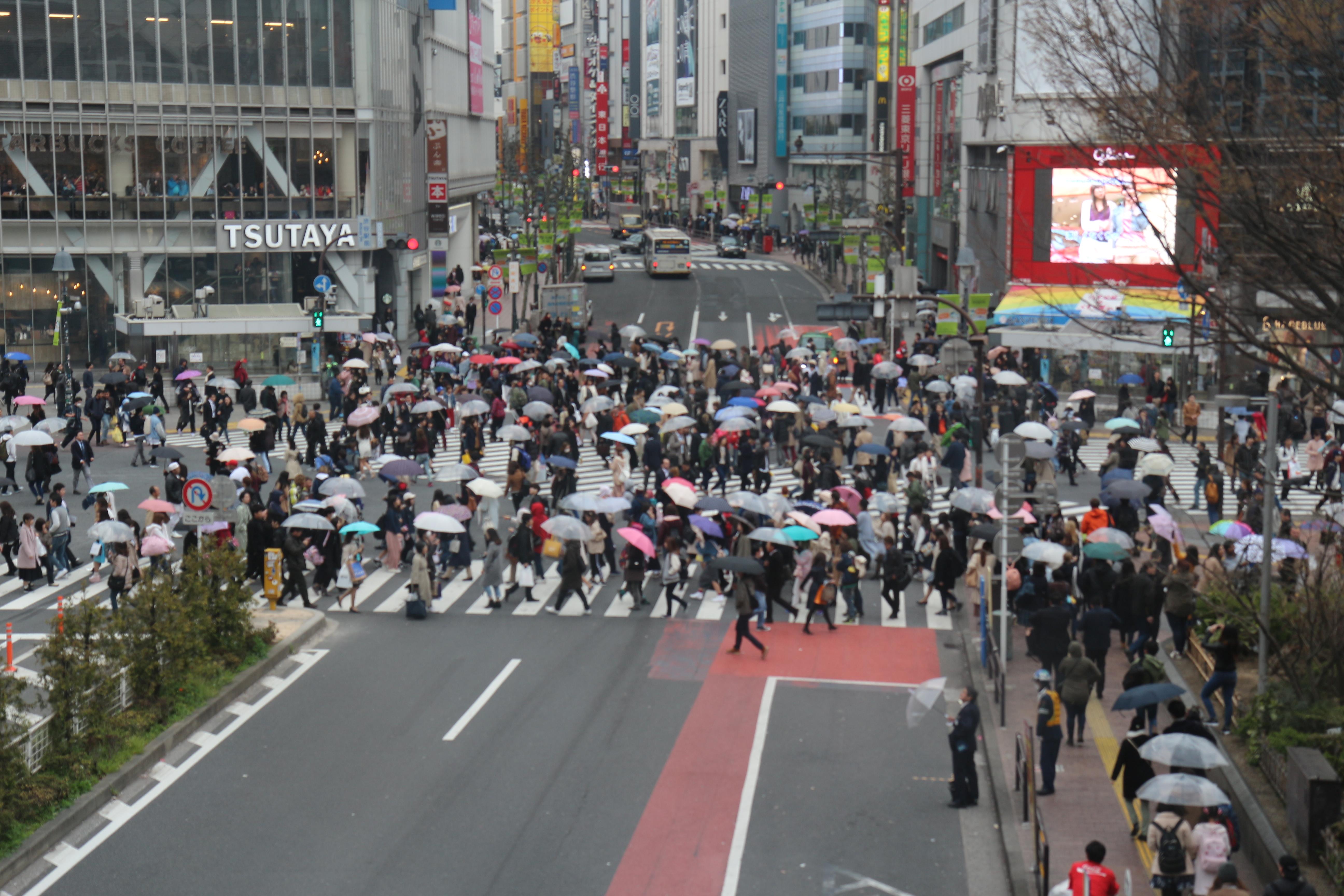 Jour 4, après-midi (Shibuya, Aïkikai)
