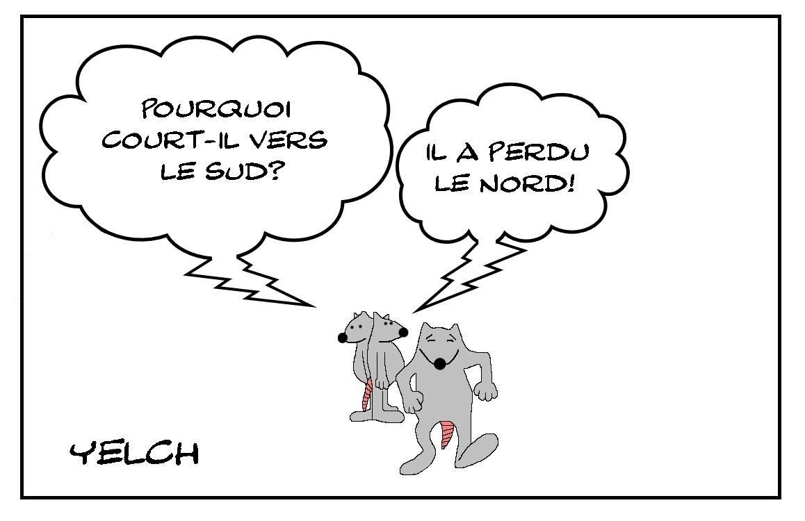 Perdu dans le sud
