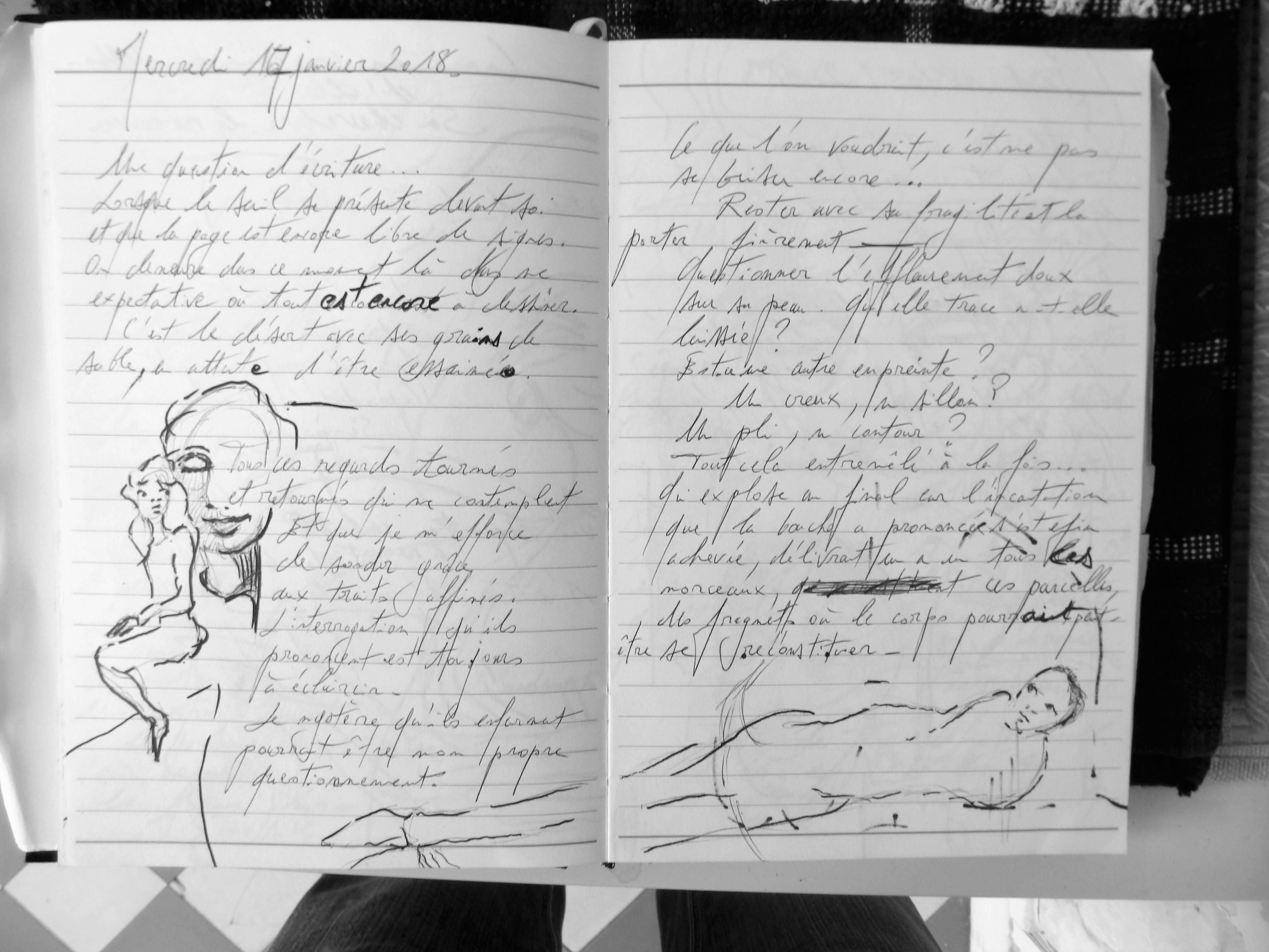 Petits Papiers Volants : Journal D'écriture 2003-2018 - Mercredi 17 janvier 2018