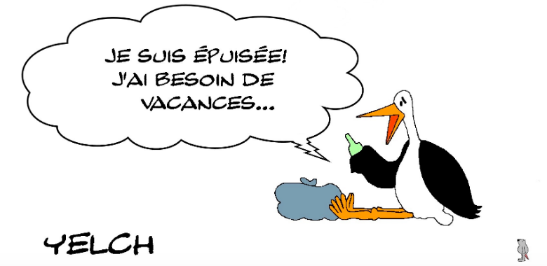 cigogne épuisée