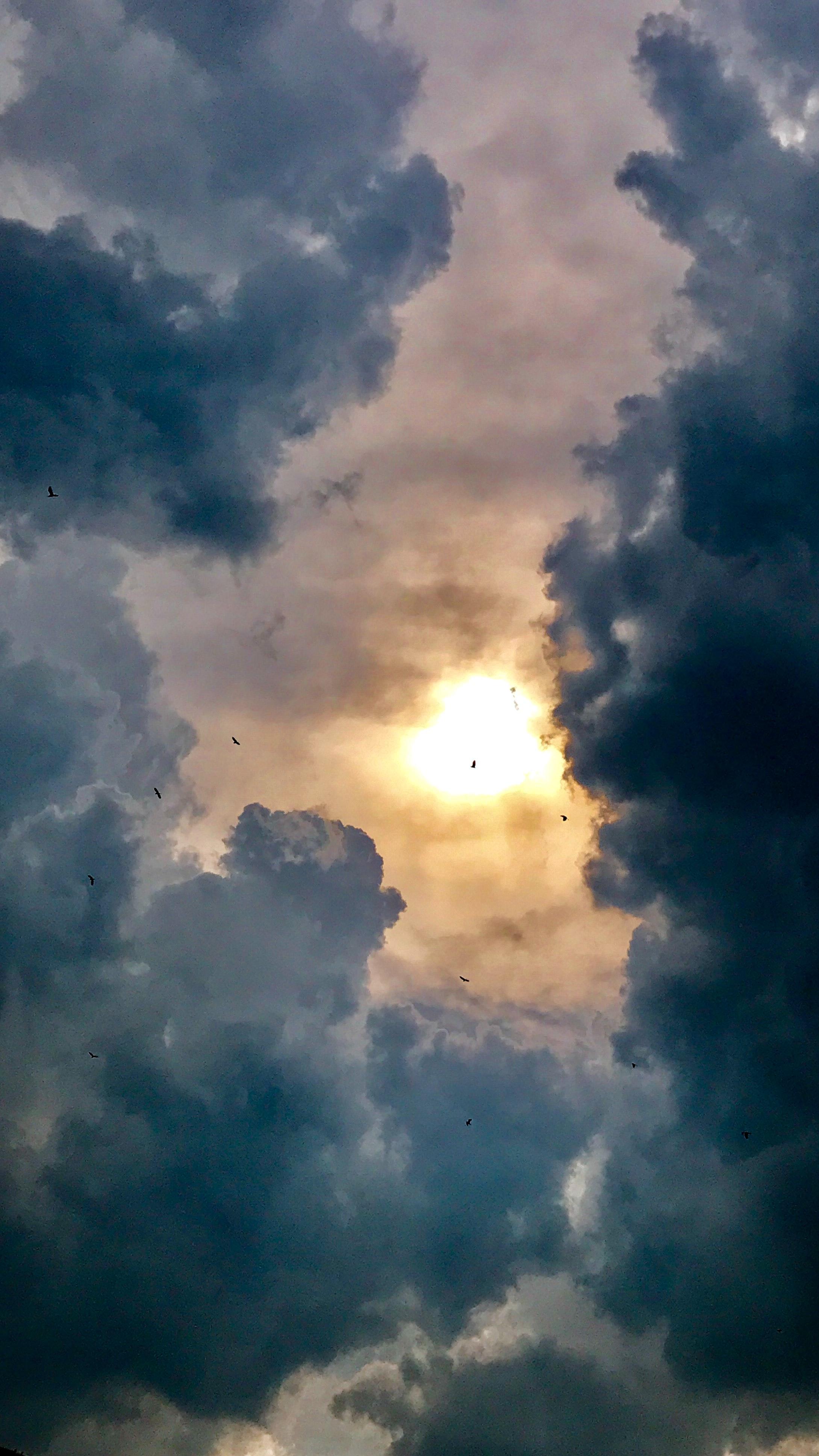 Pluie sur Zanzibar