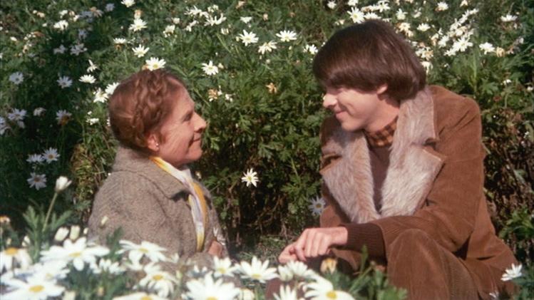 Harold et Maude (Harold and Maude, Hal Ashby, 1971)