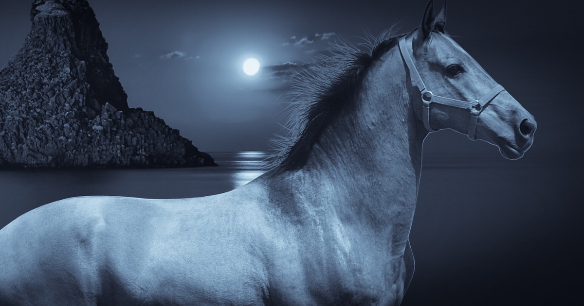 article