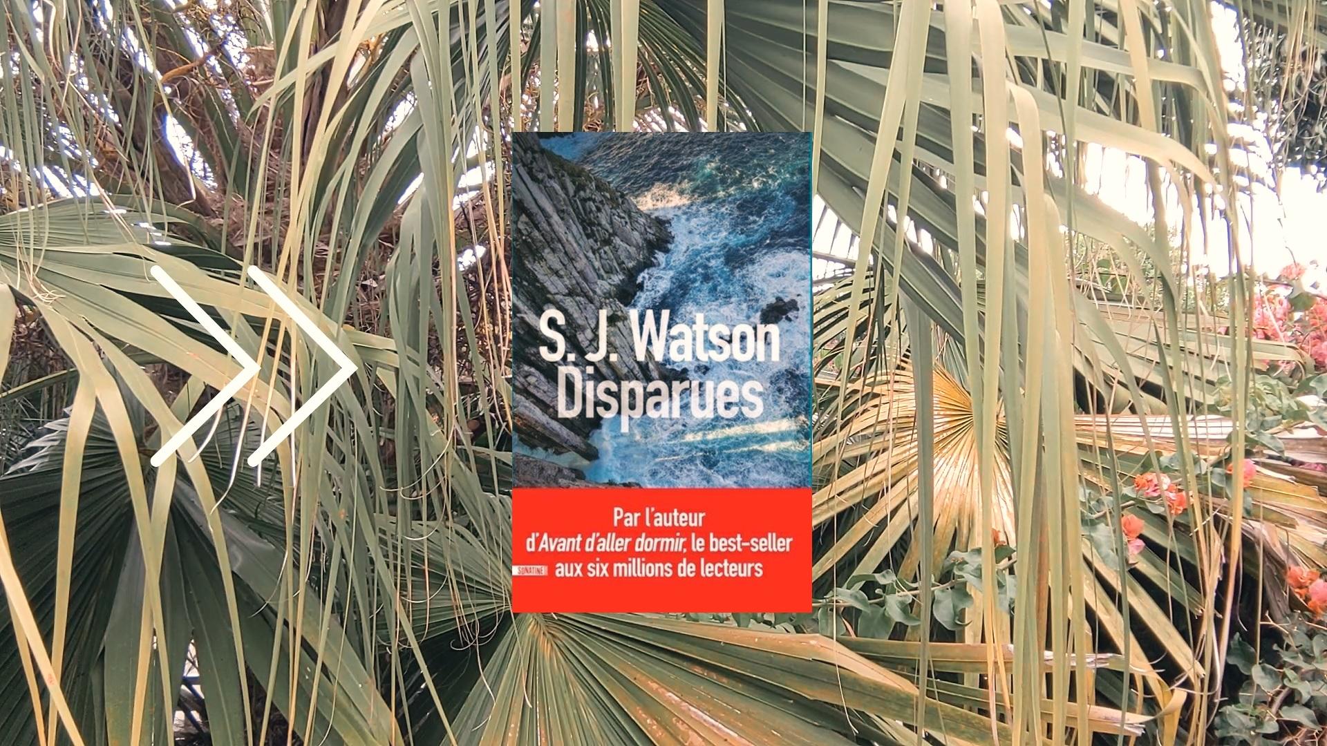 BookTube lecture commune : Disparues - S.J Watson