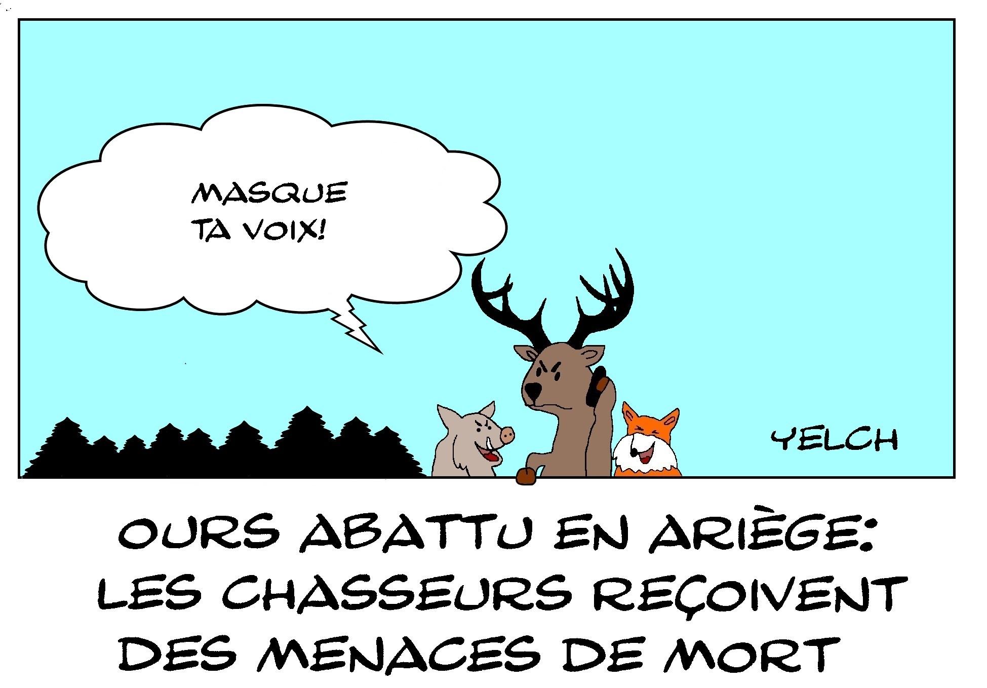 ours abattu en Ariège : les chasseurs menacés de mort