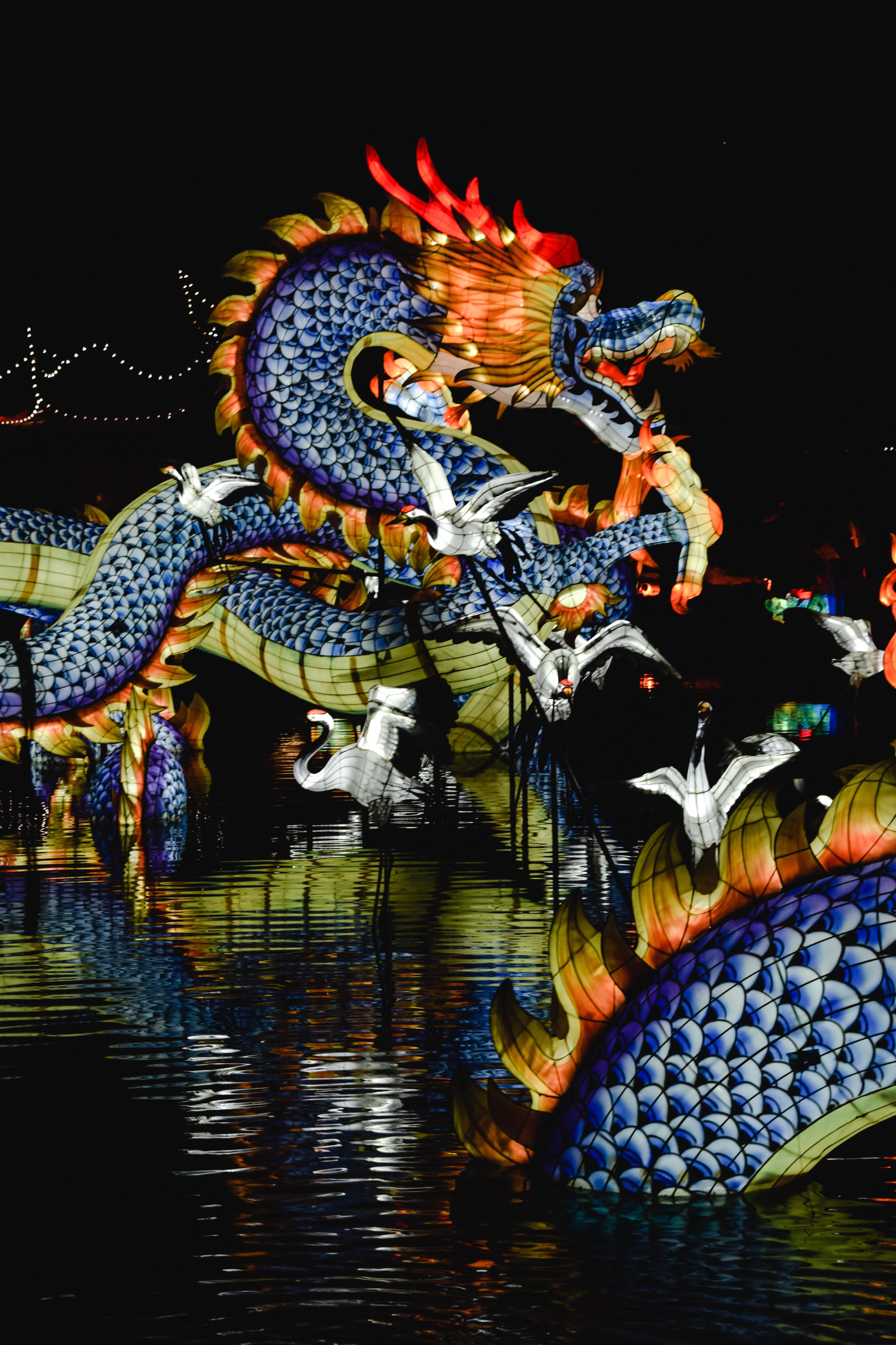 (II, 1) : L'éveil du dragon