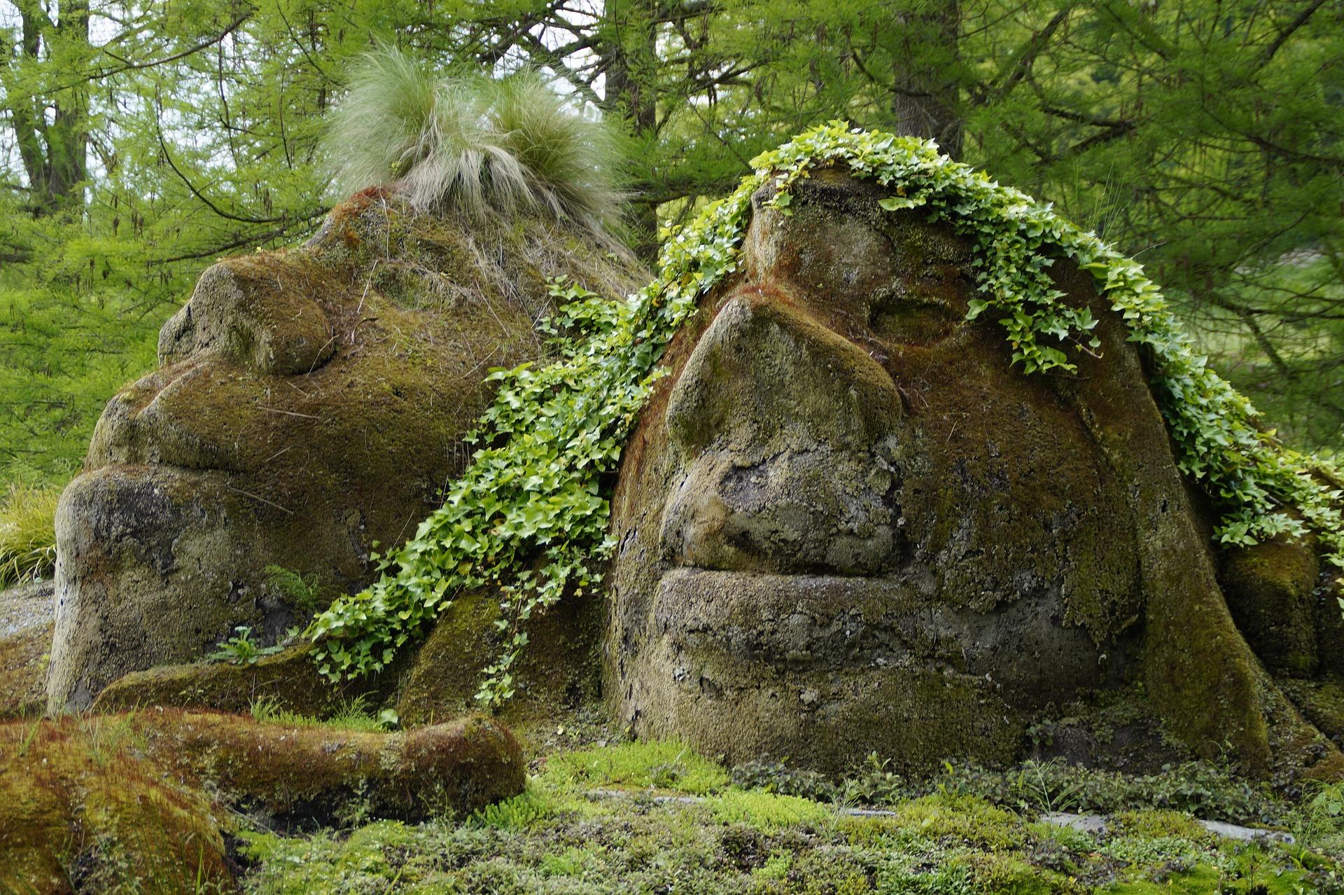 Les trolls des forêts