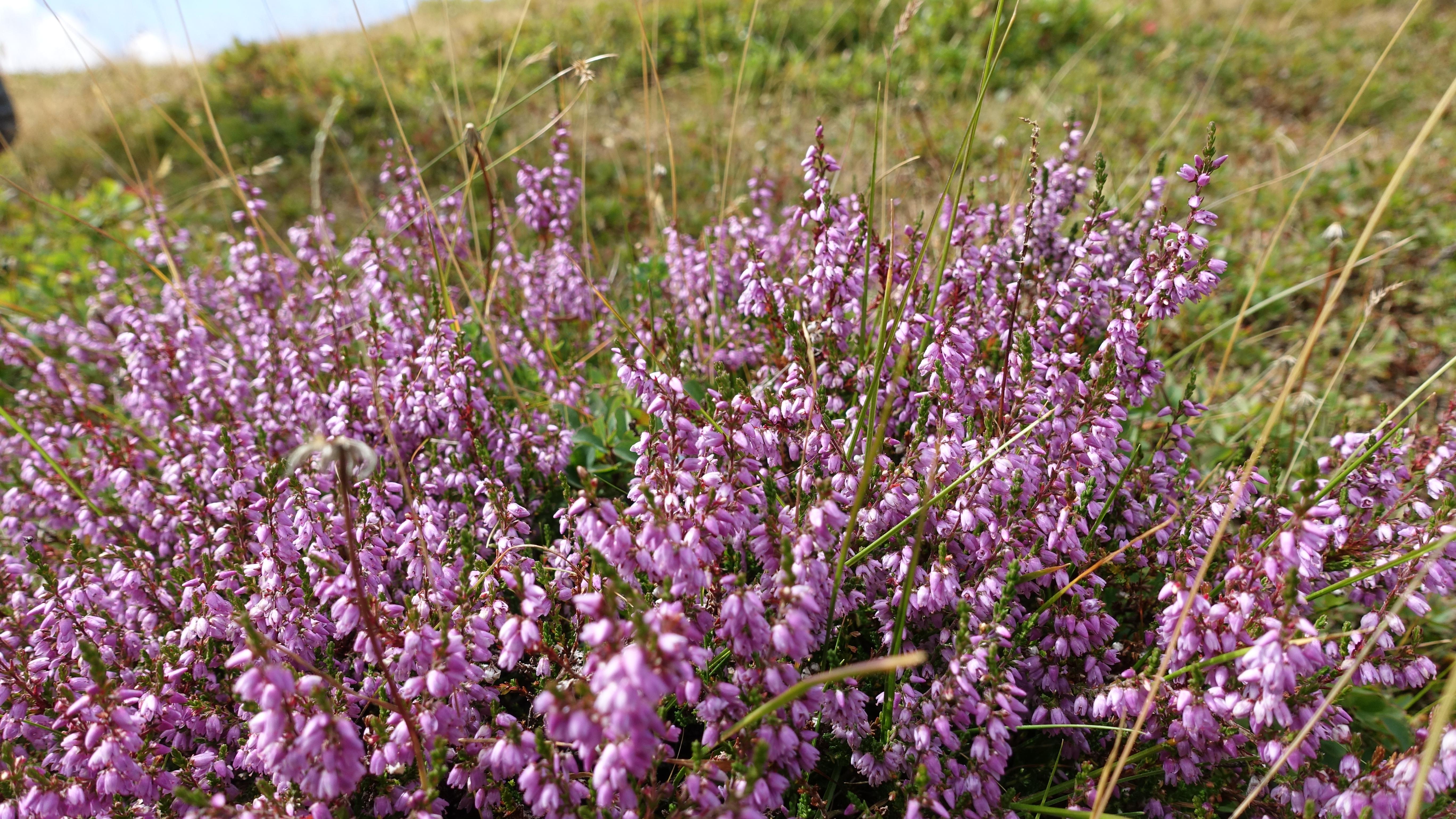 Dix ans pour attendre l'été