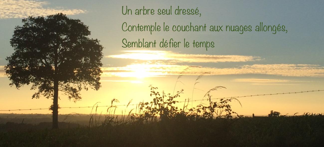 Mon espace de liberté poétique