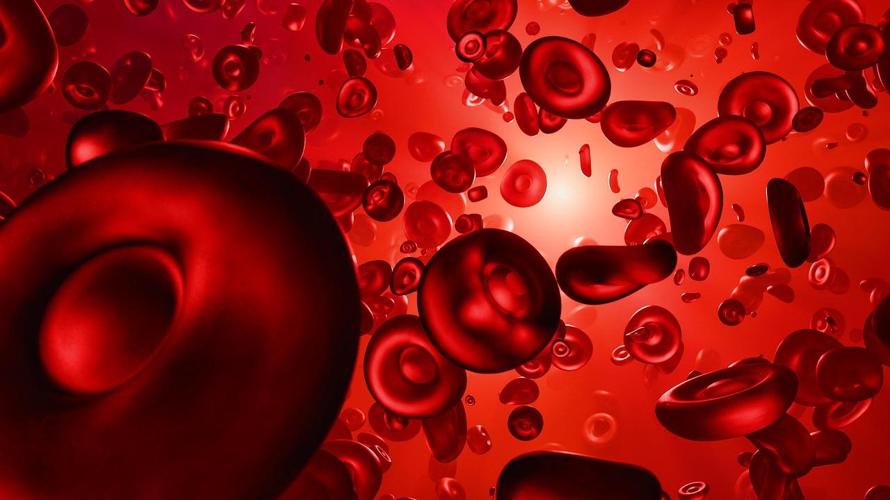 Concours Renaissance