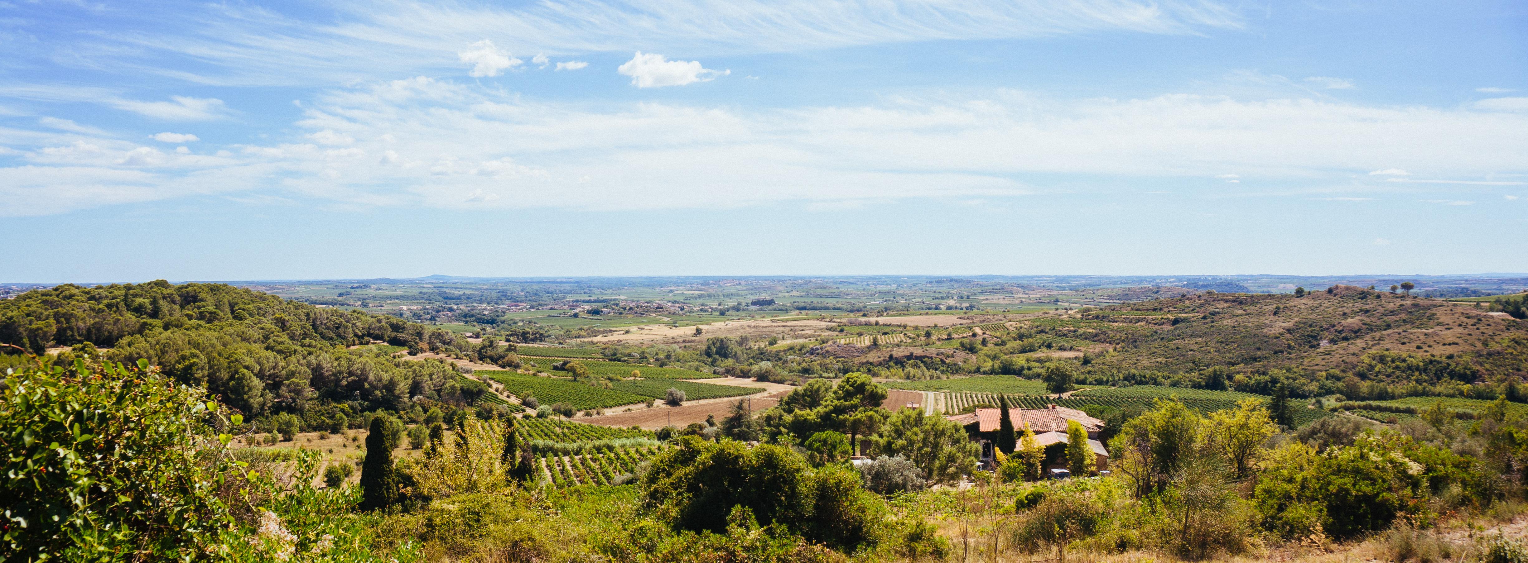 Domaine de Cadablès Vignerons bio en Languedoc