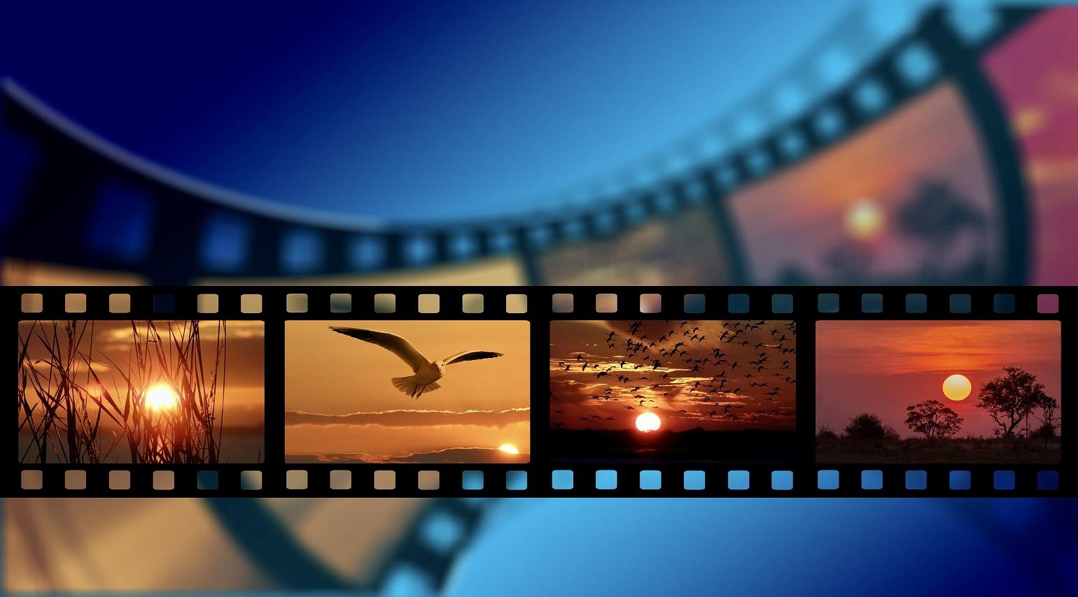 Des choses à voir...