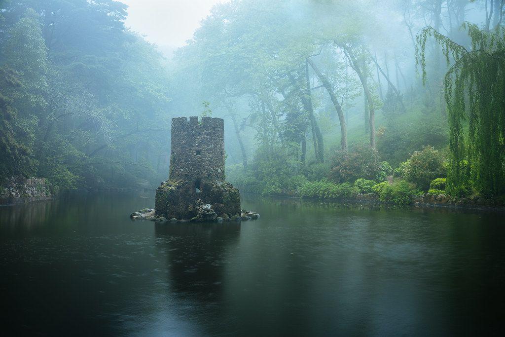 LA PLEINE LUNE ET LA NUIT 

Cycle de L'Académie de Brocéliande T.1