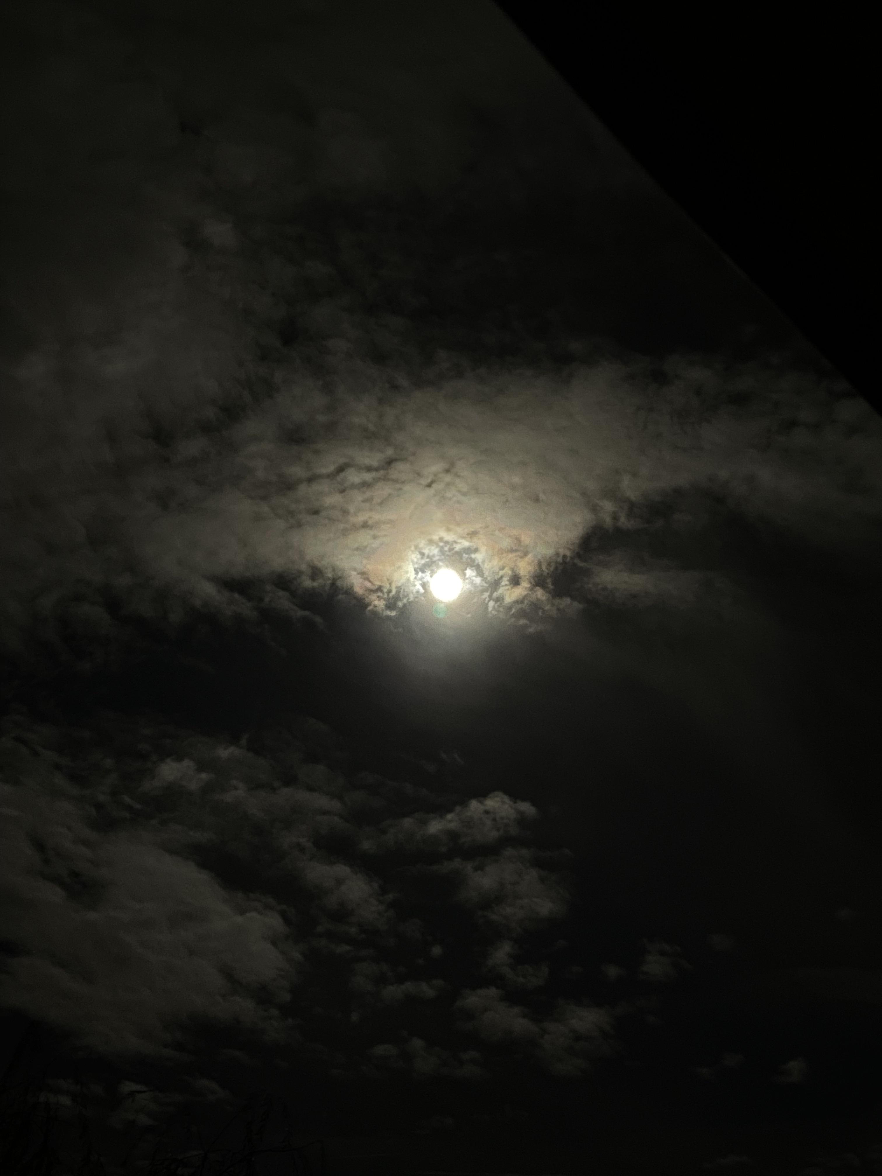 Les Pensées Tues.
Fragments d'une Identité.