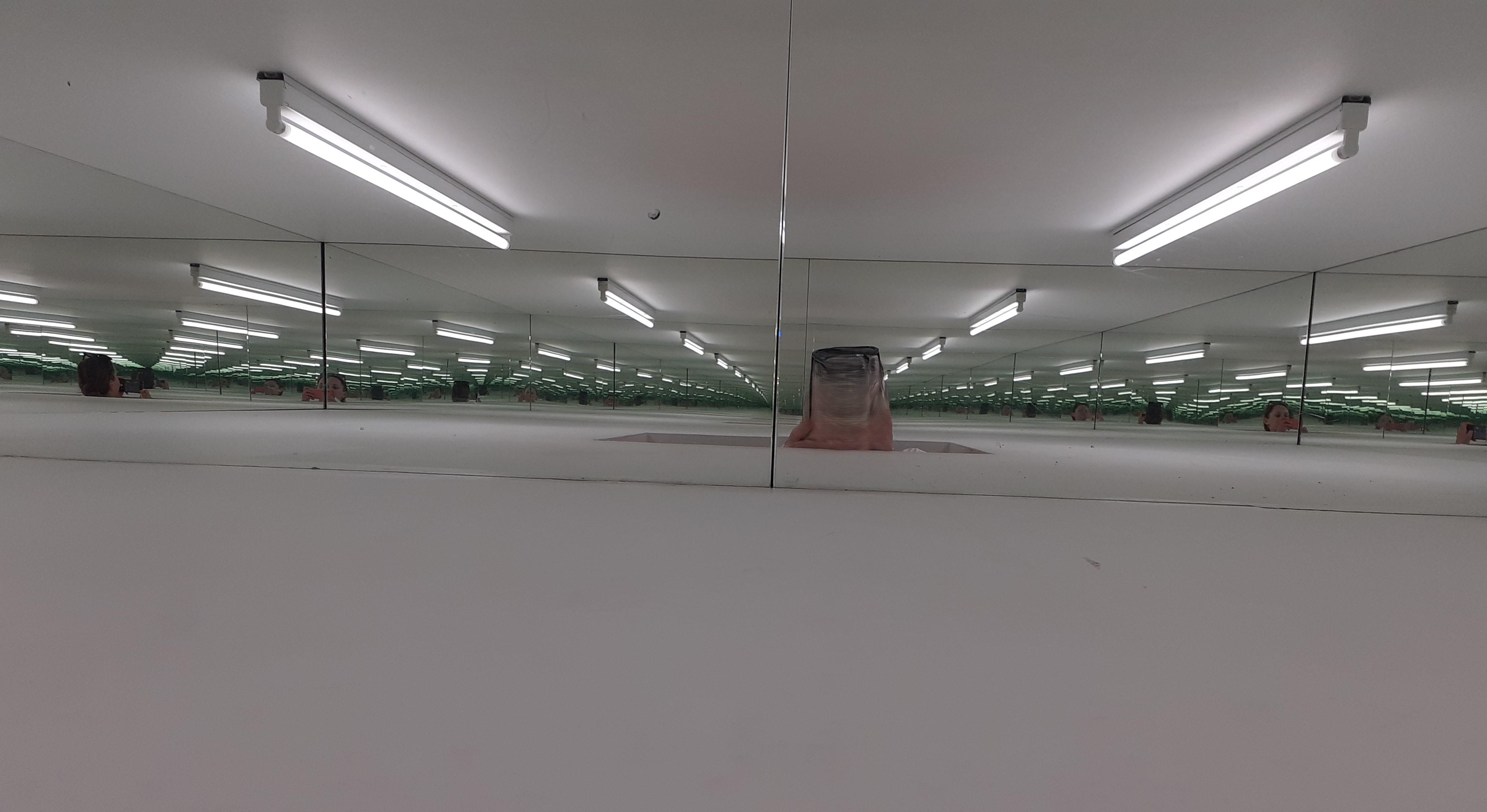 Essays: Literature and...