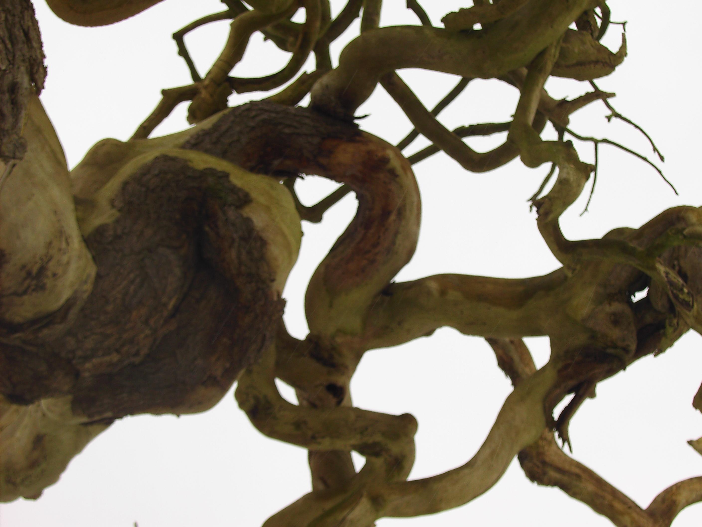 Le fond du tiroir (Poésie en rab).