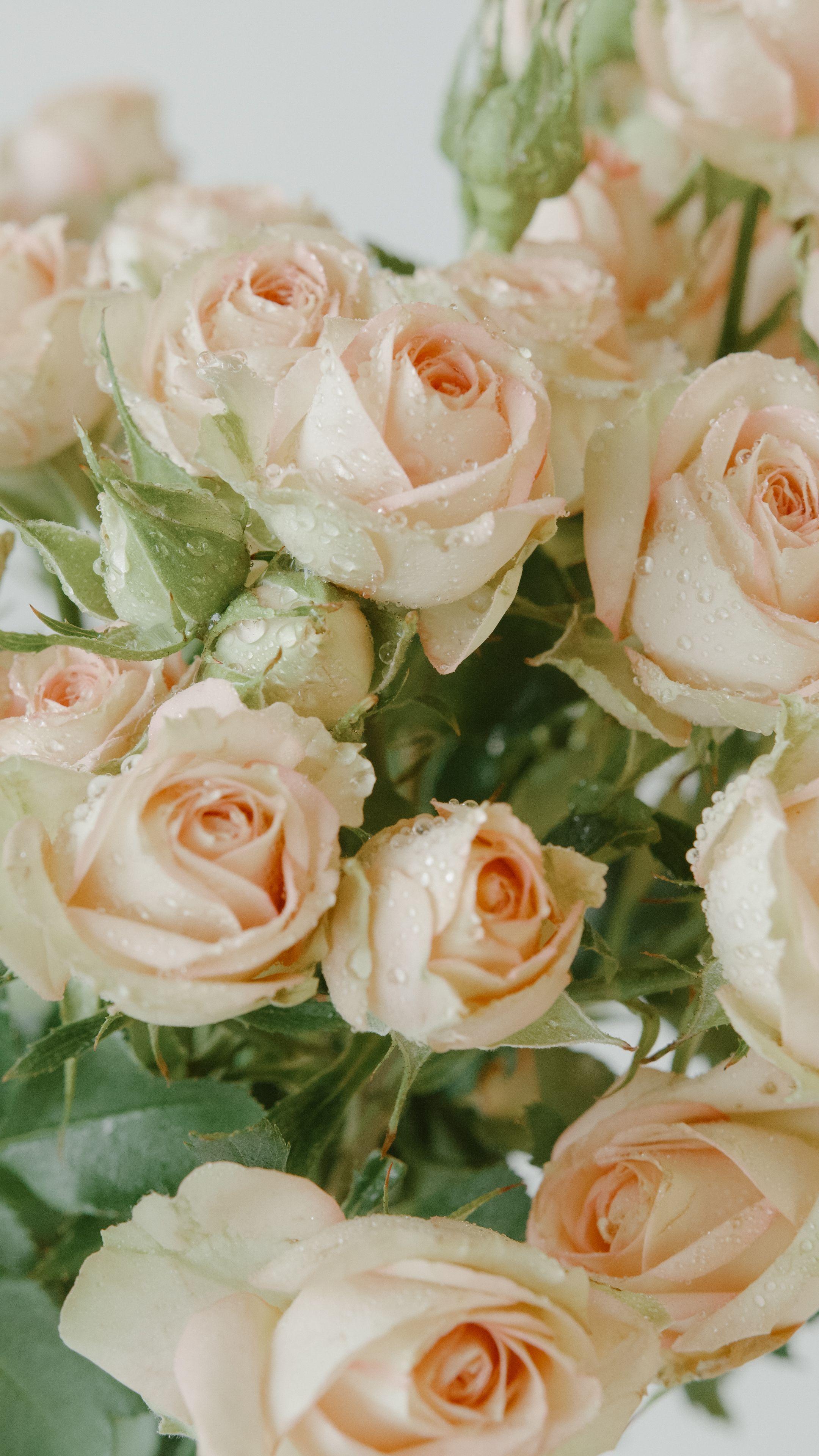 Beau Bouquet