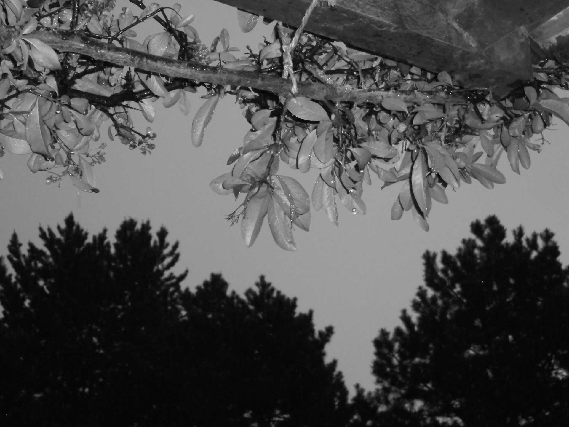 Les trente-cinq fois où j'ai essayé de te dire je t'aime.