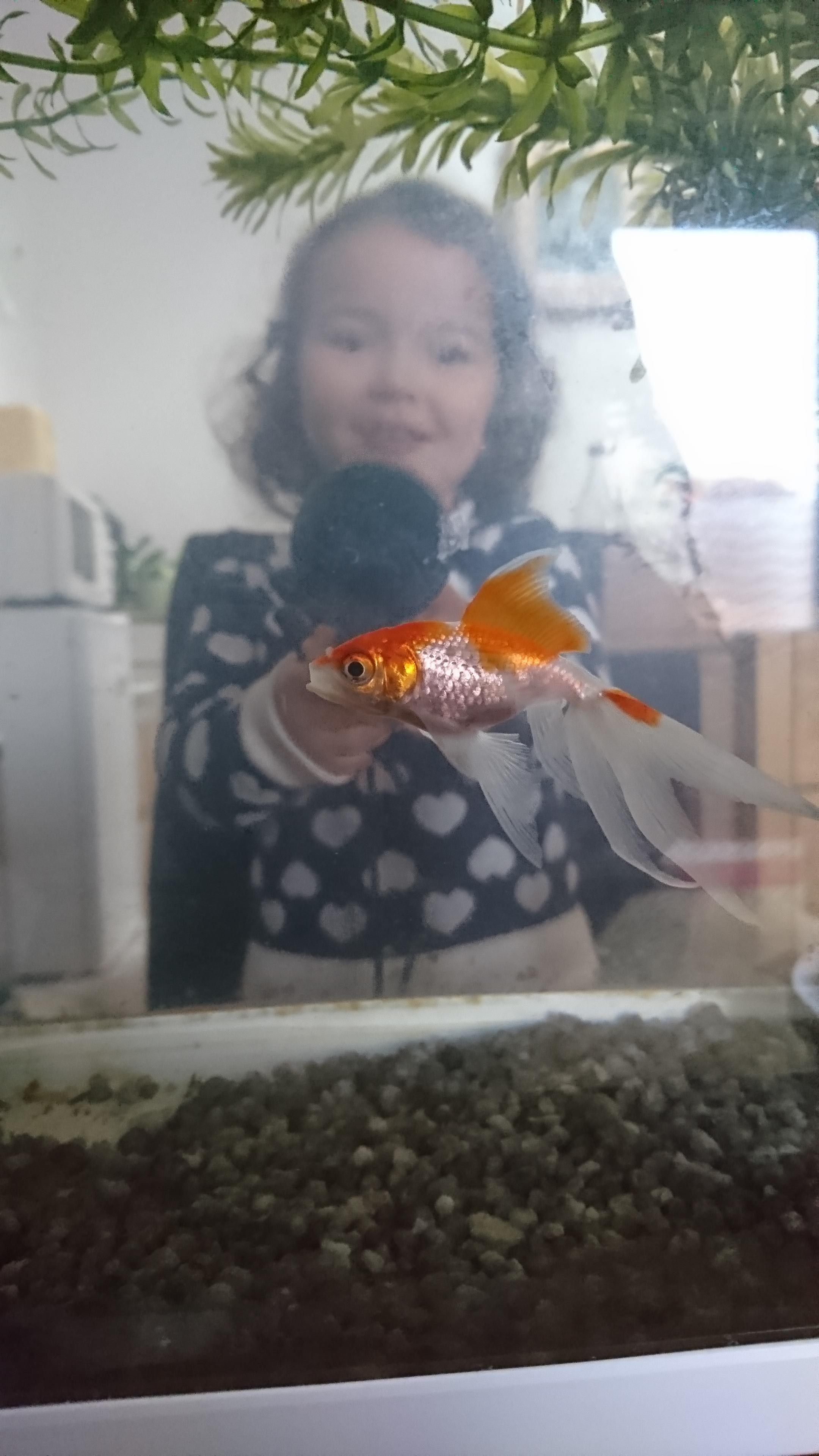 L'optimisme sauvera le monde