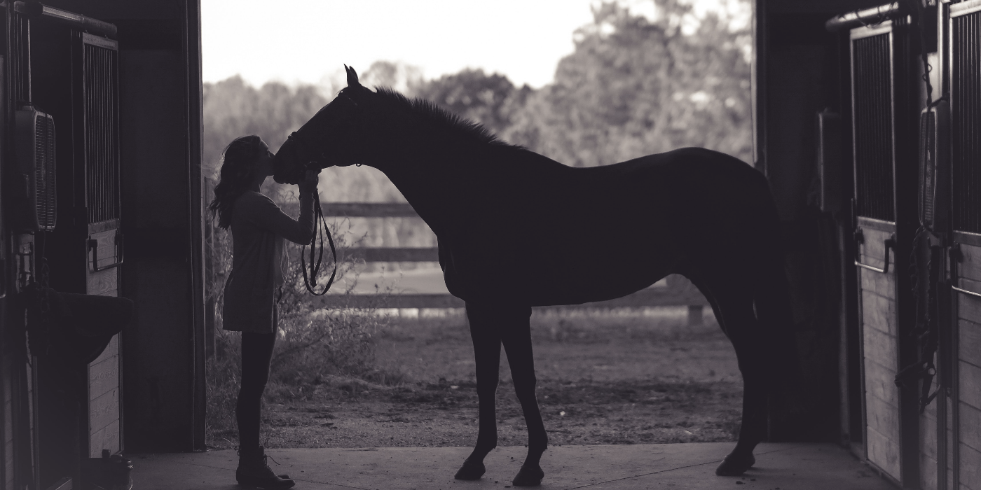 Écurie Kevyn Thonnerieux