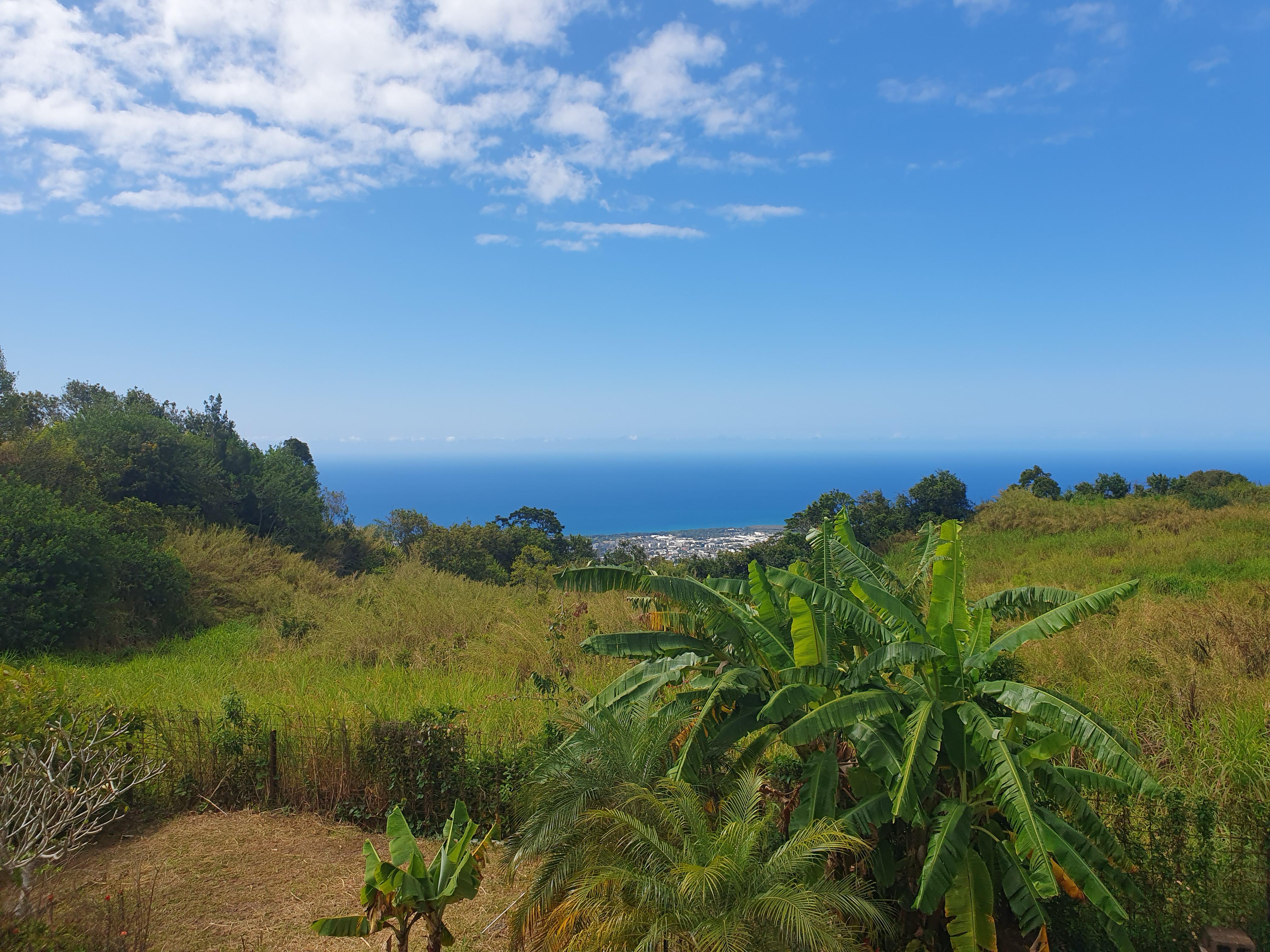 L'appel de la Réunion