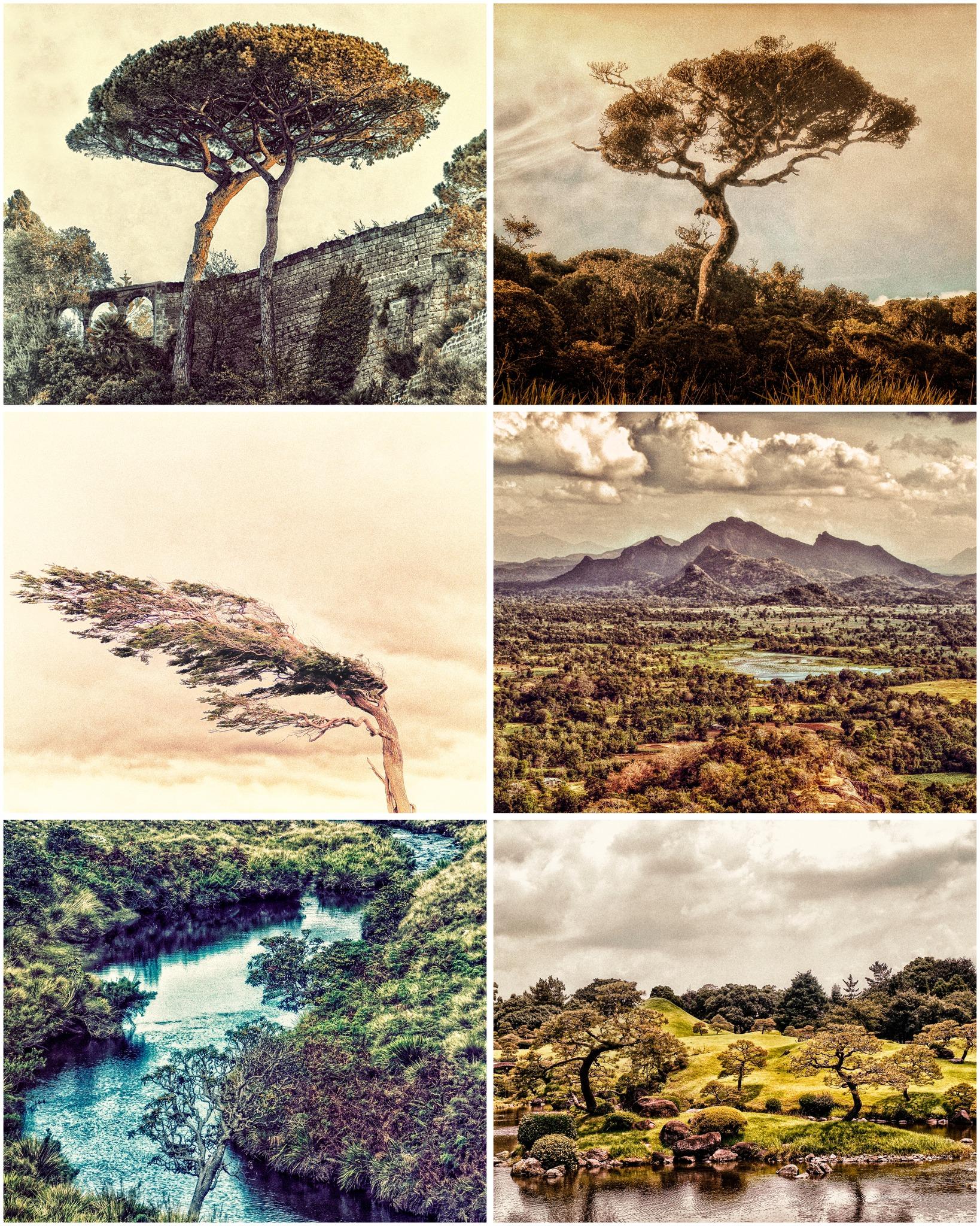 Manifeste/Manifesto...