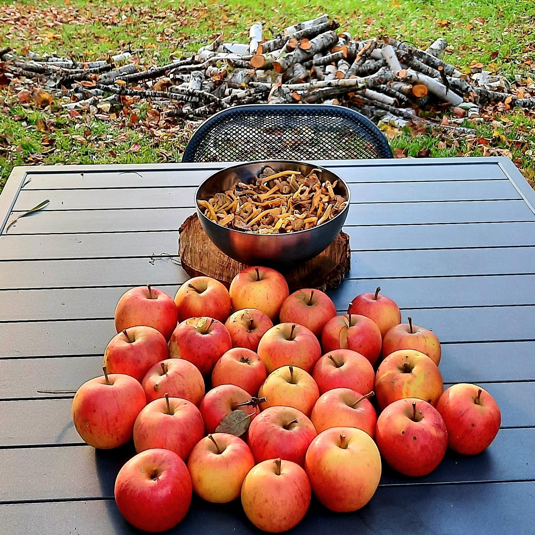Journal intime d'une demoiselle