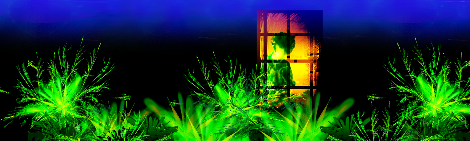 Nouvelles de l'univers en passant par la lune