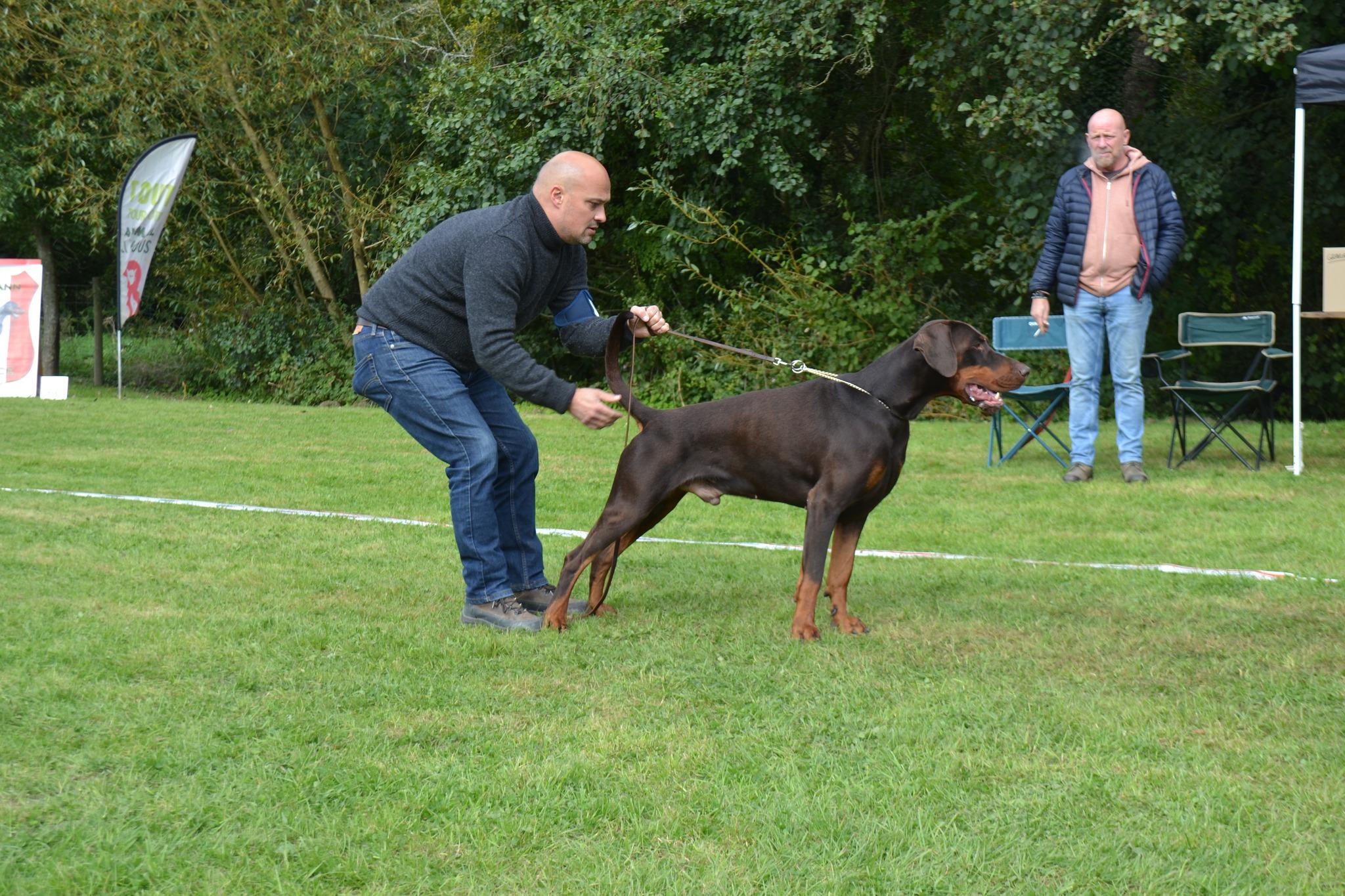 (CH) Shere-Khan du parc des Marais d'Opale