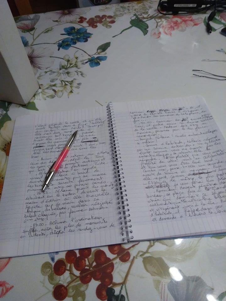 Ecriture de mon roman en temps réel