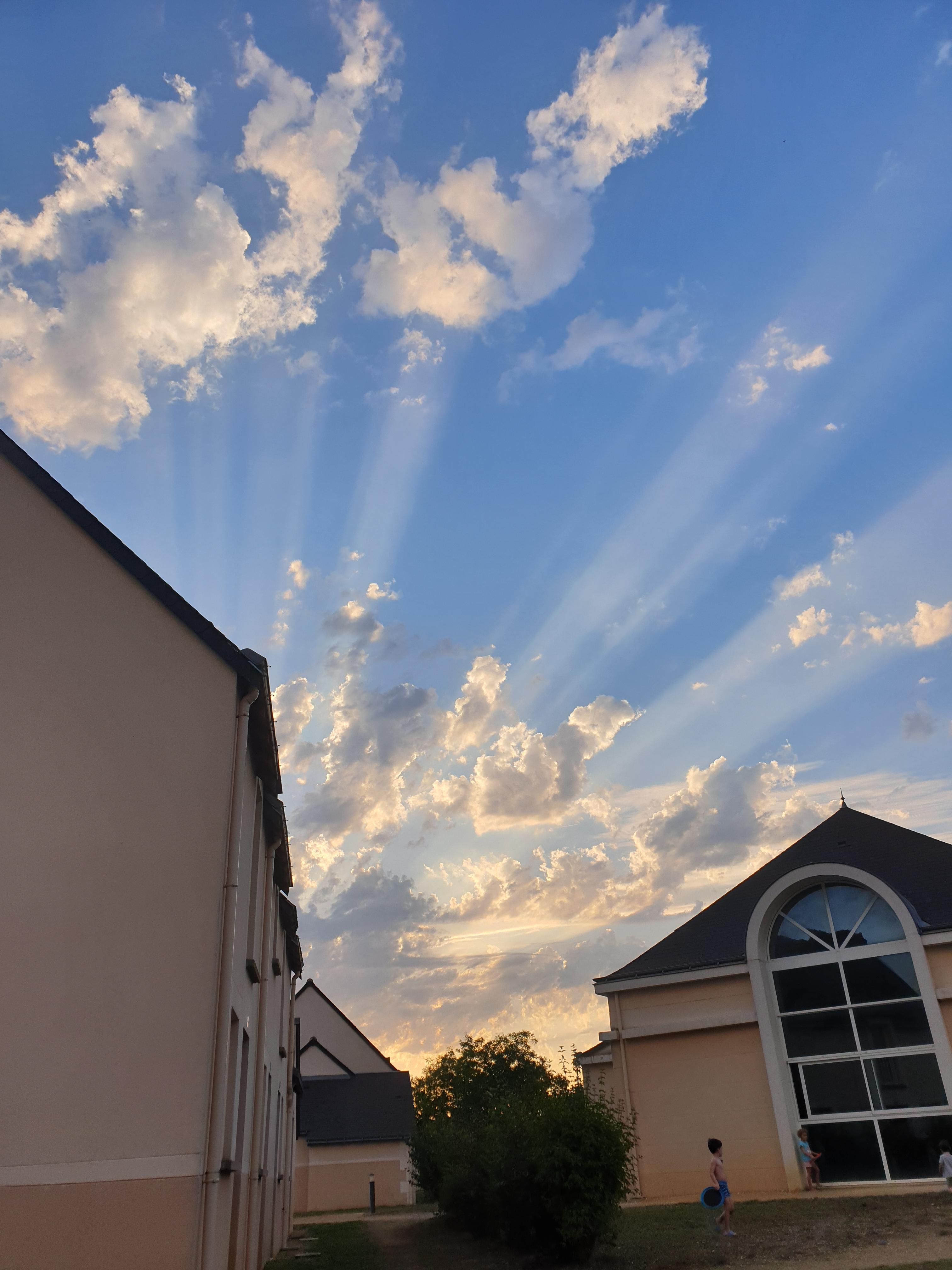 Les murmures du cœur