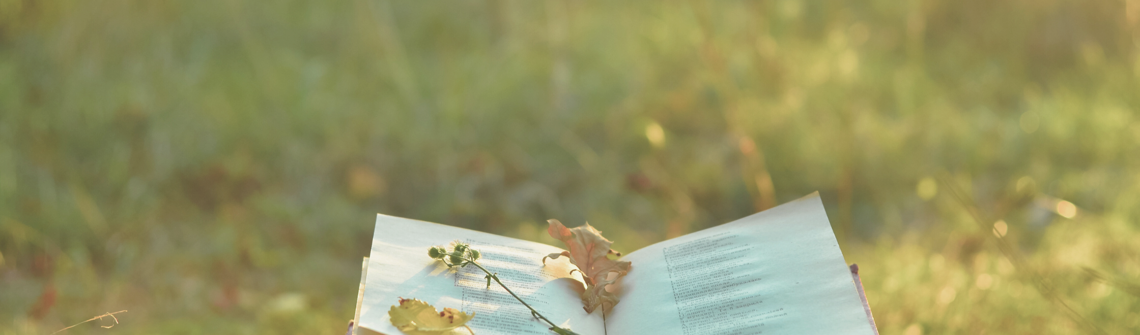 Poésies et autres rêveries